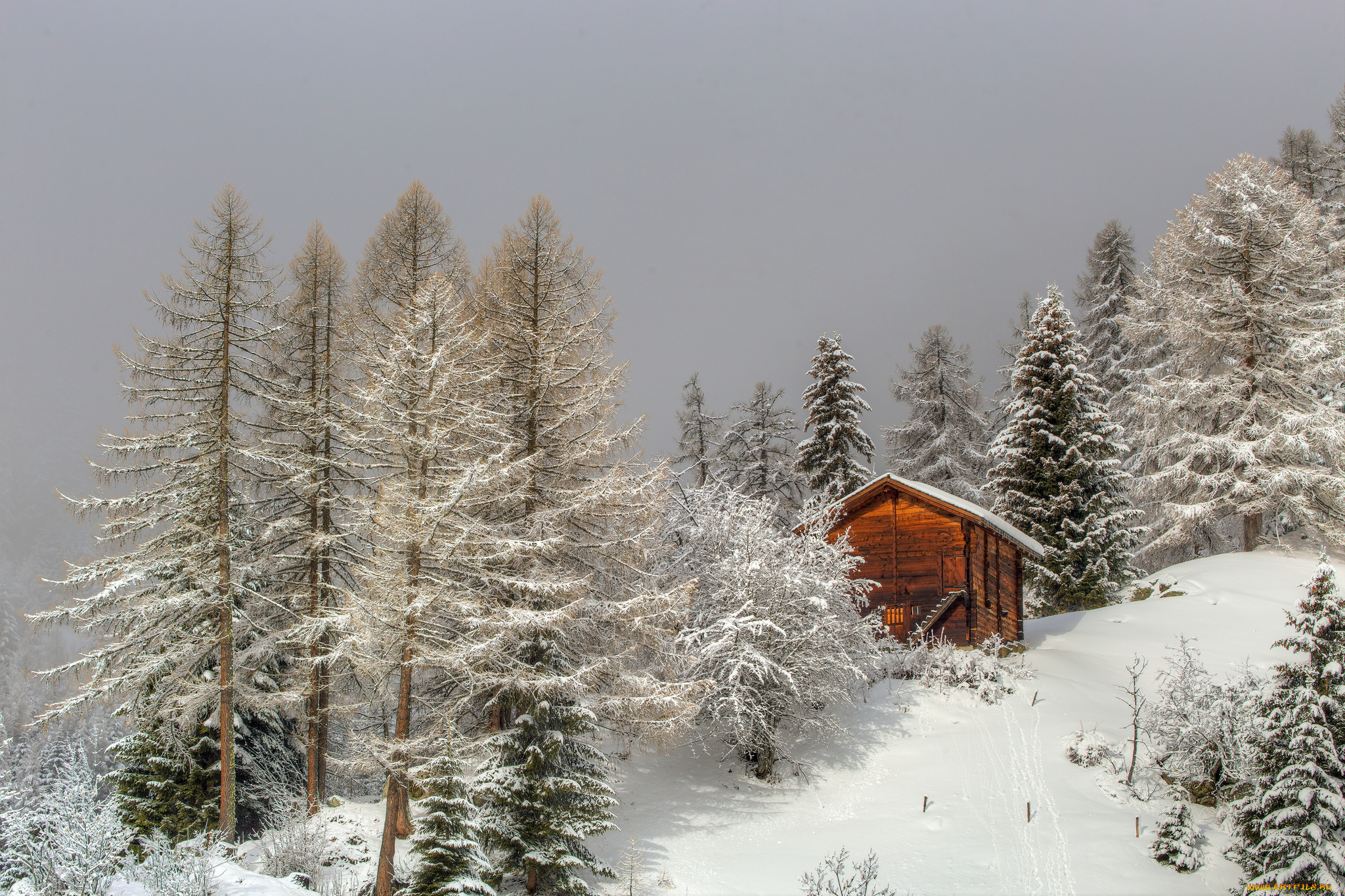 природа, зима, простор