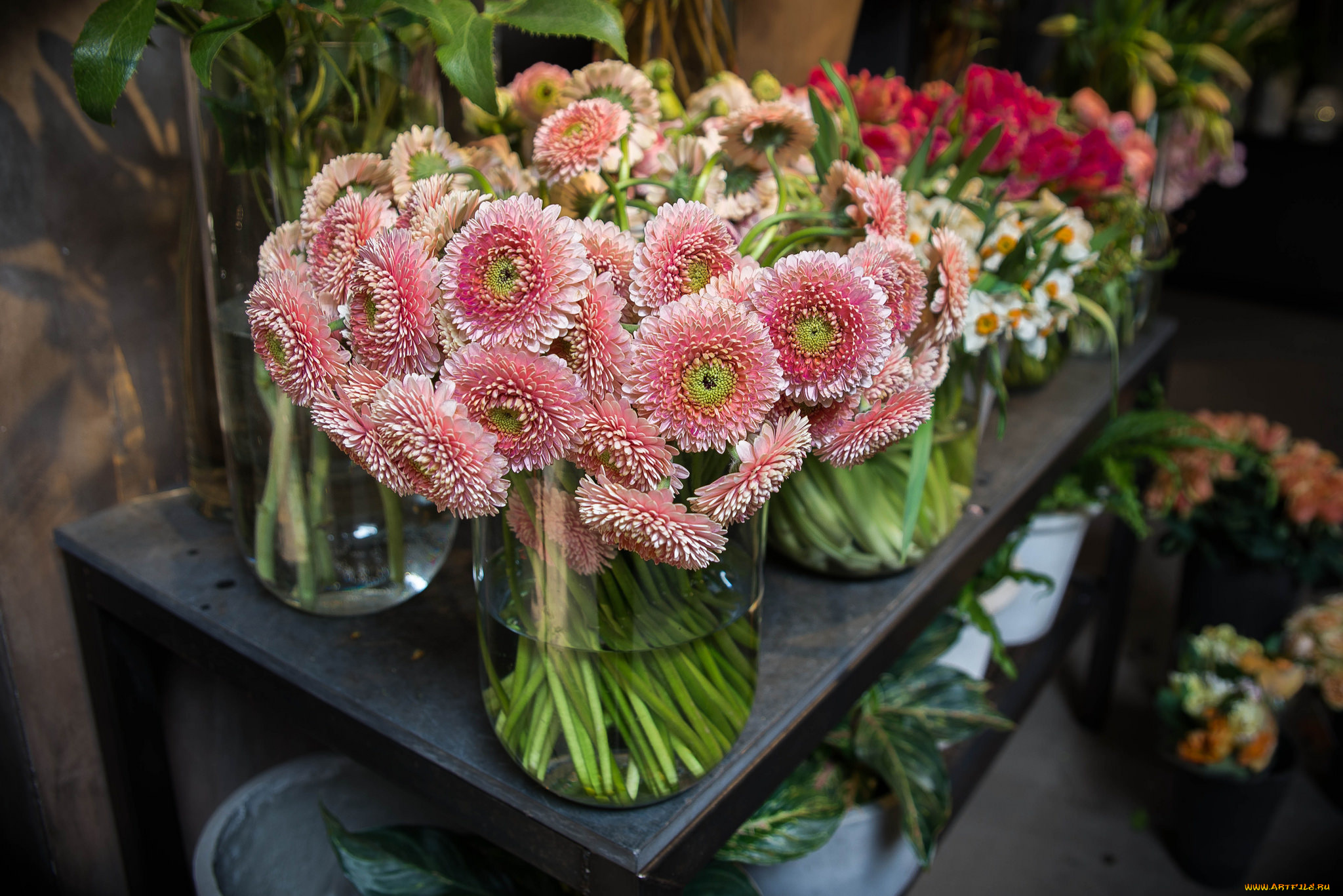 цветы, герберы, лепестки, ваза, букет, гербера