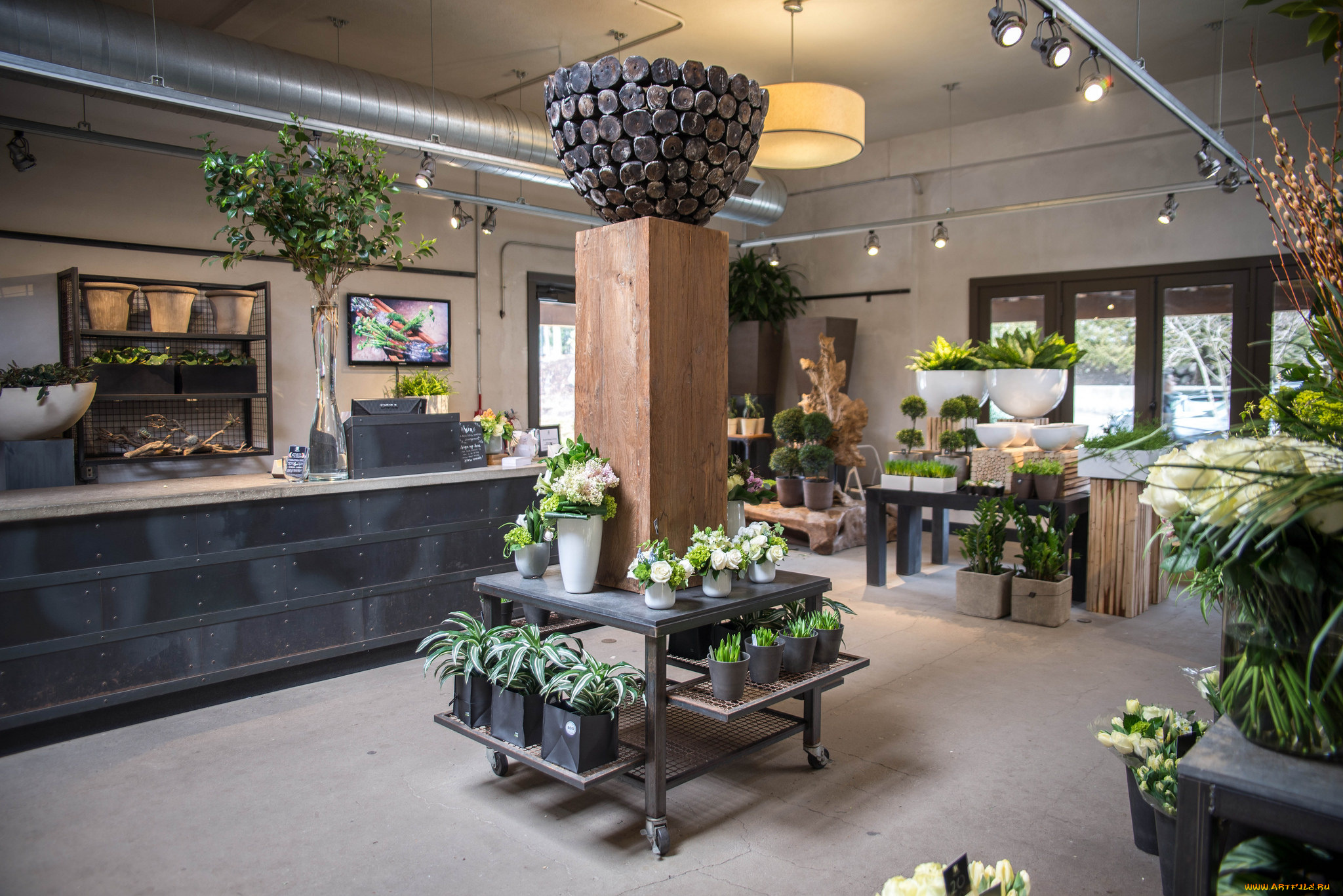 интерьер, -, другое, стиль, дезан, цветы, цветочный, магазин