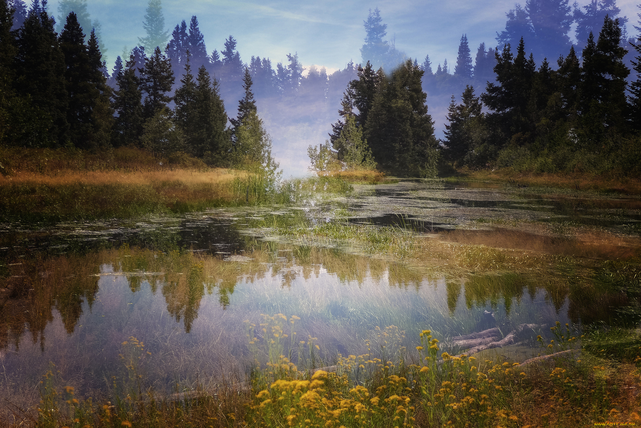 природа, реки, озера, простор