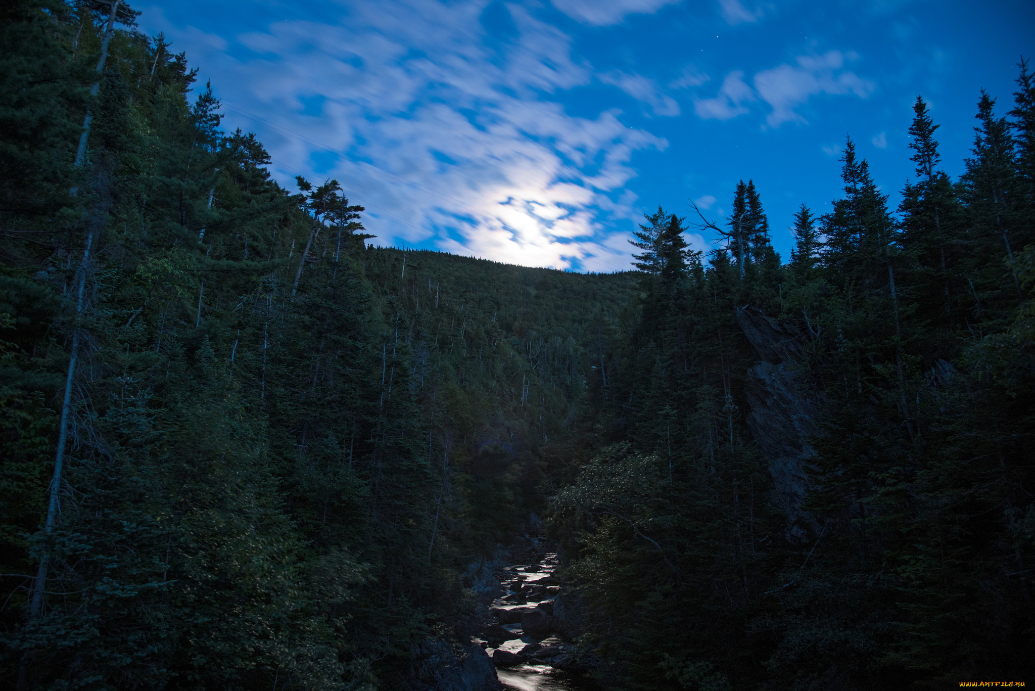 природа, реки, озера, утро