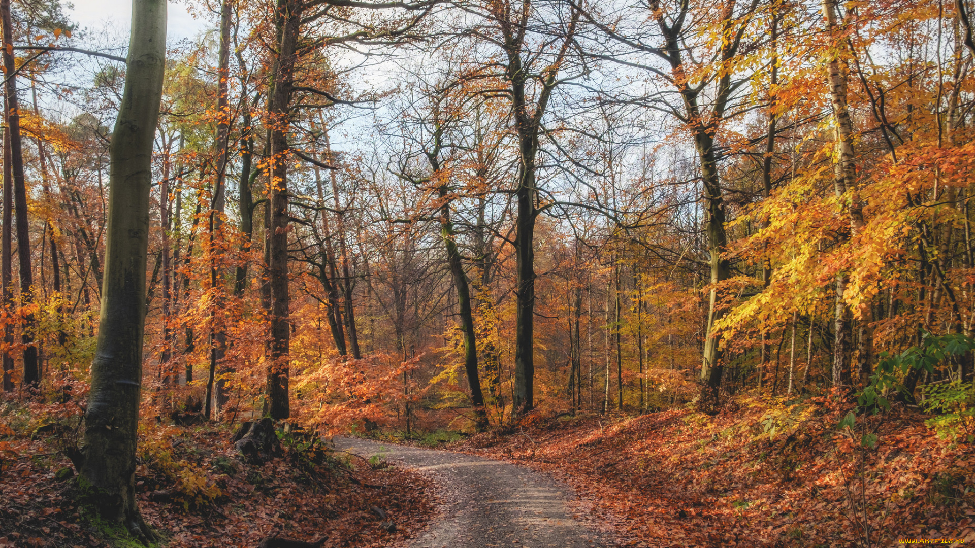 природа, дороги, простор