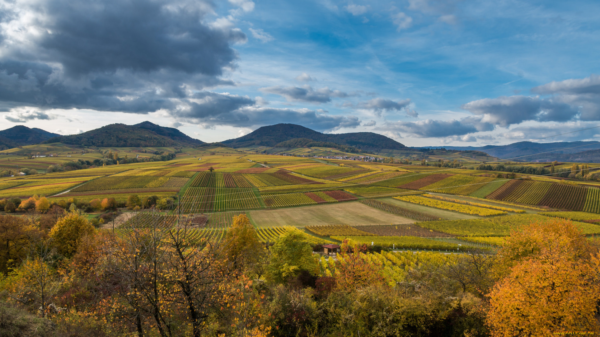 природа, пейзажи, простор