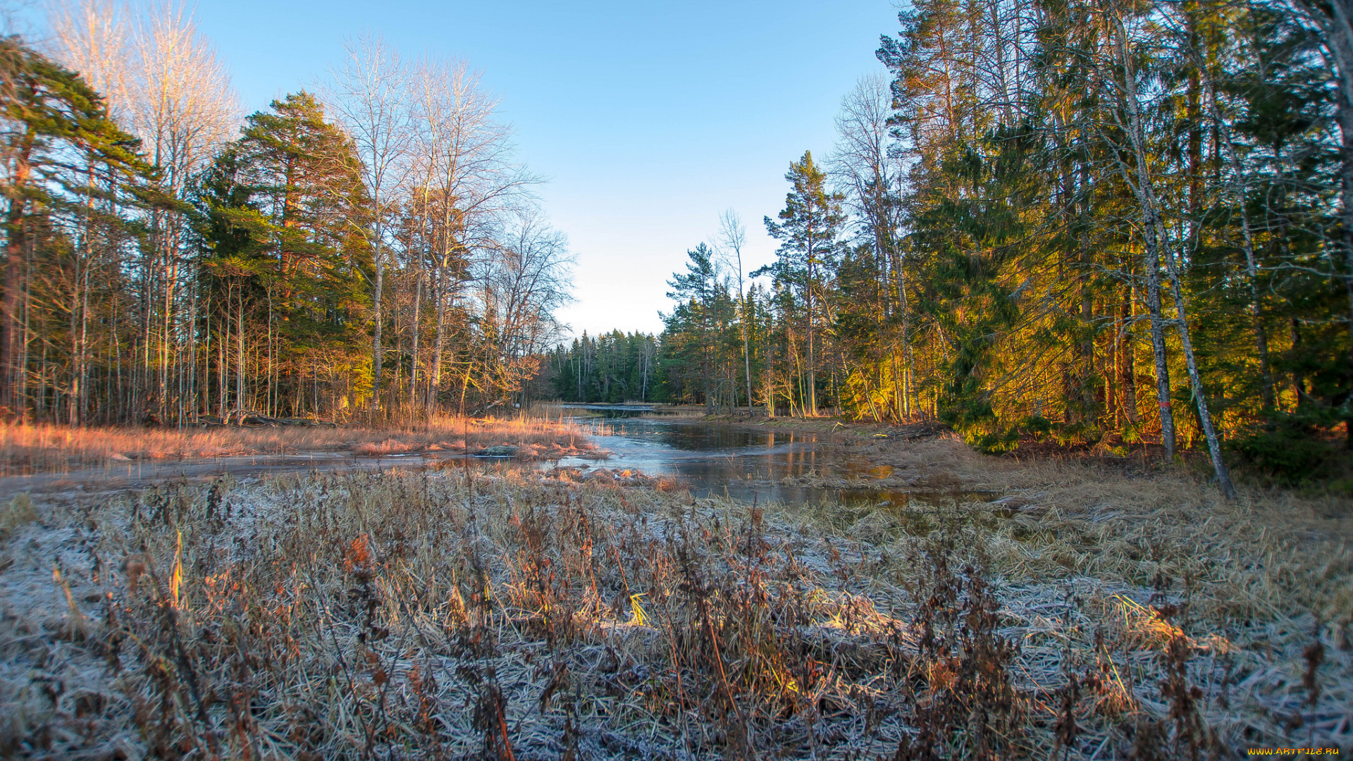 природа, реки, озера, простор