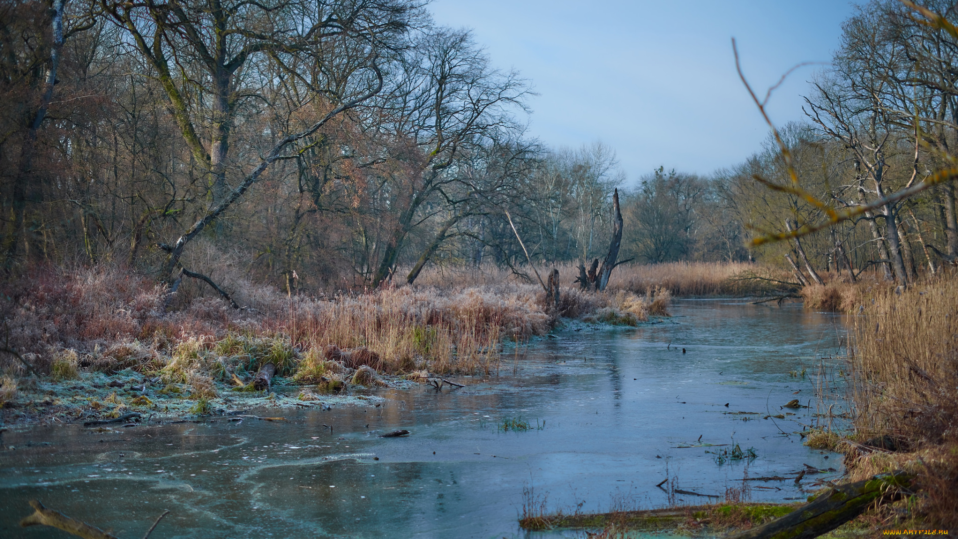 природа, реки, озера, простор