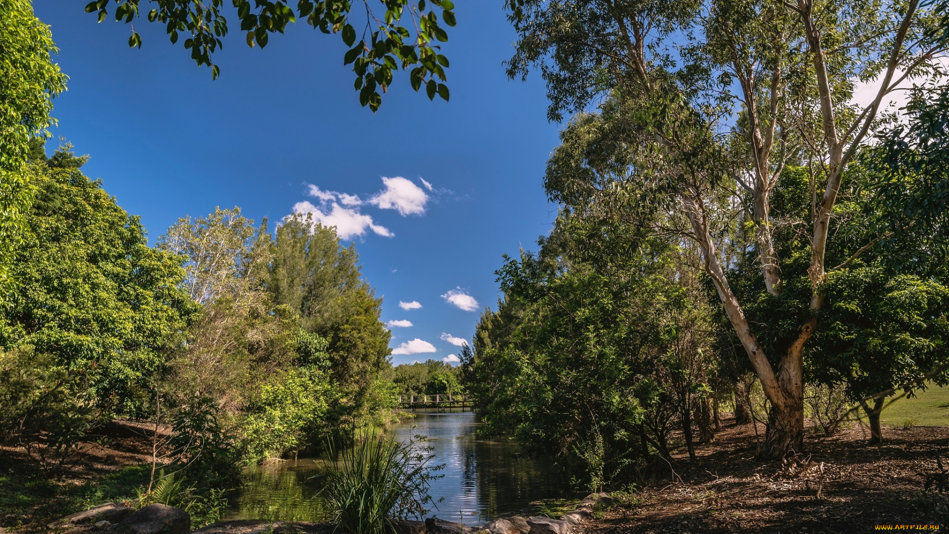 природа, реки, озера, простор