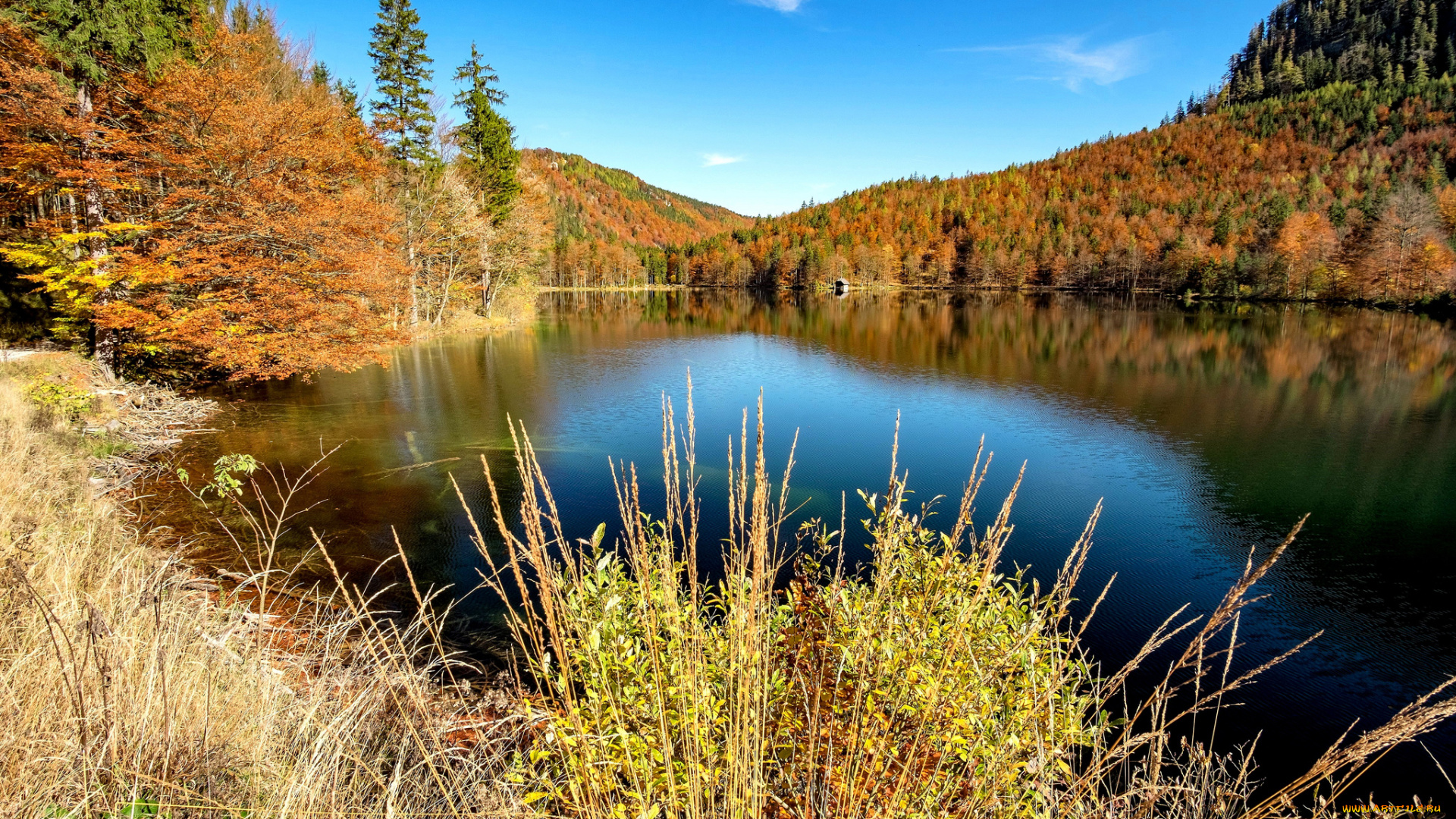 природа, реки, озера, простор