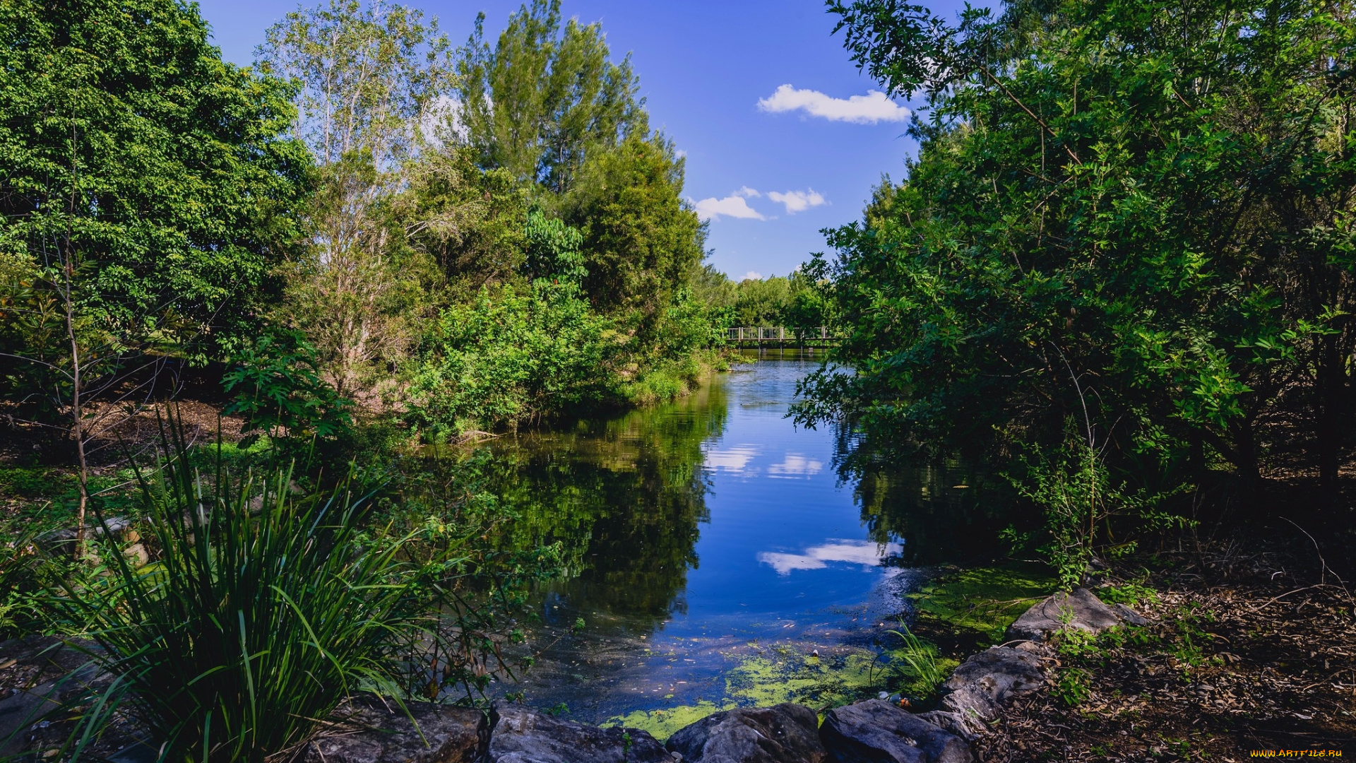 природа, реки, озера, простор