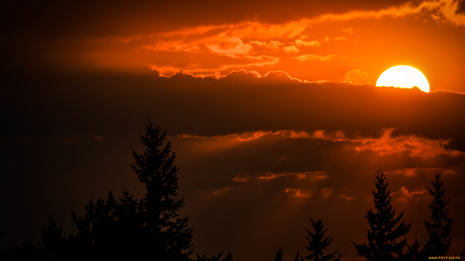природа, восходы, закаты, закат, небо, облака, деревья, красота
