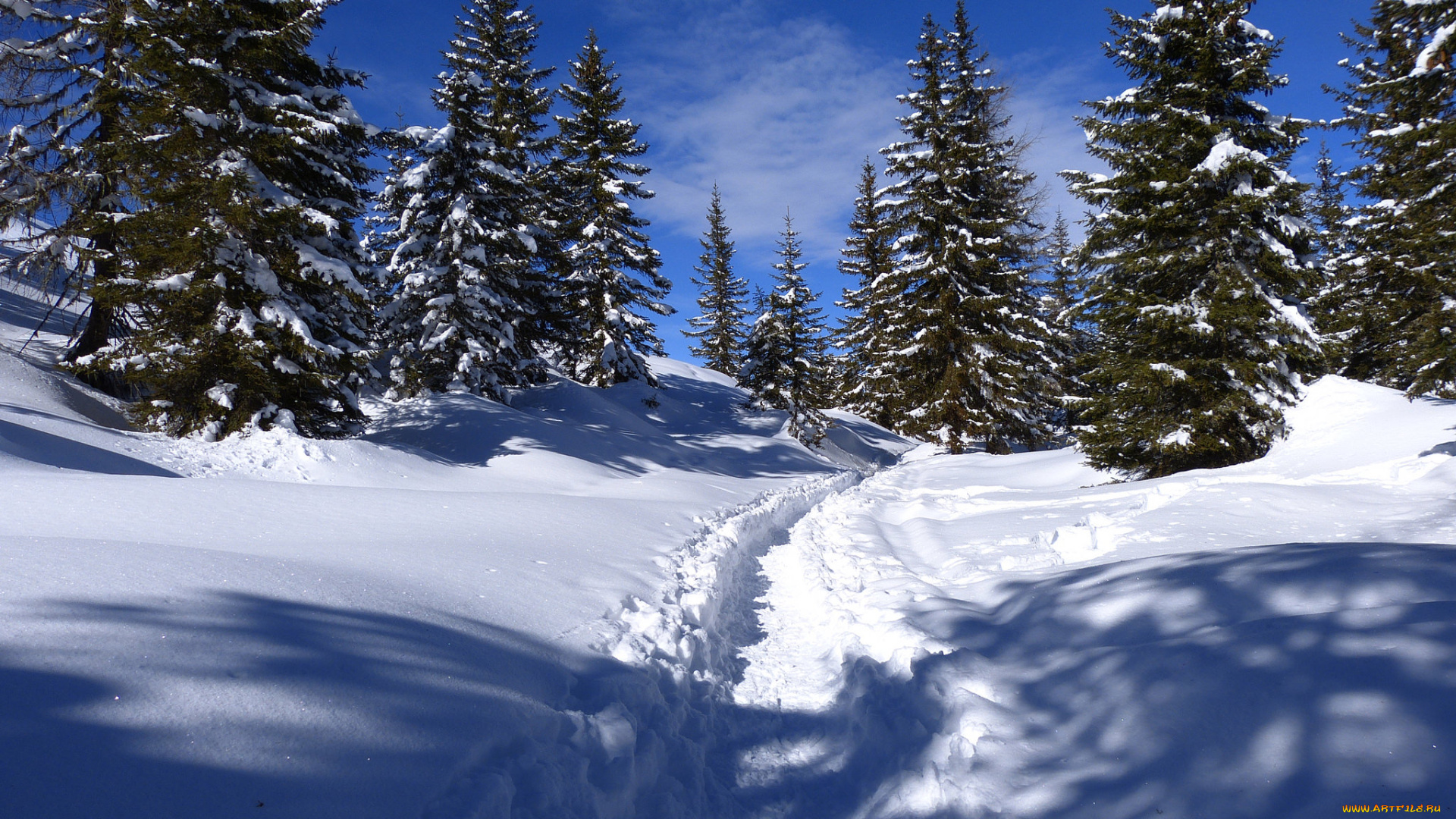 природа, зима, простор