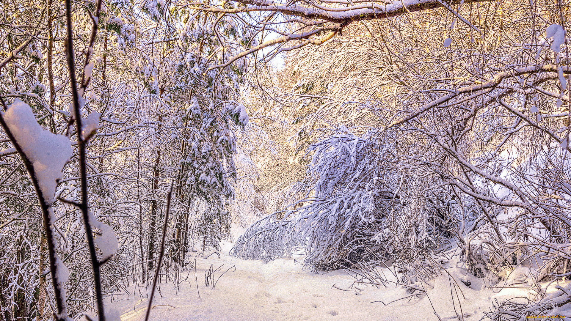 природа, зима, простор