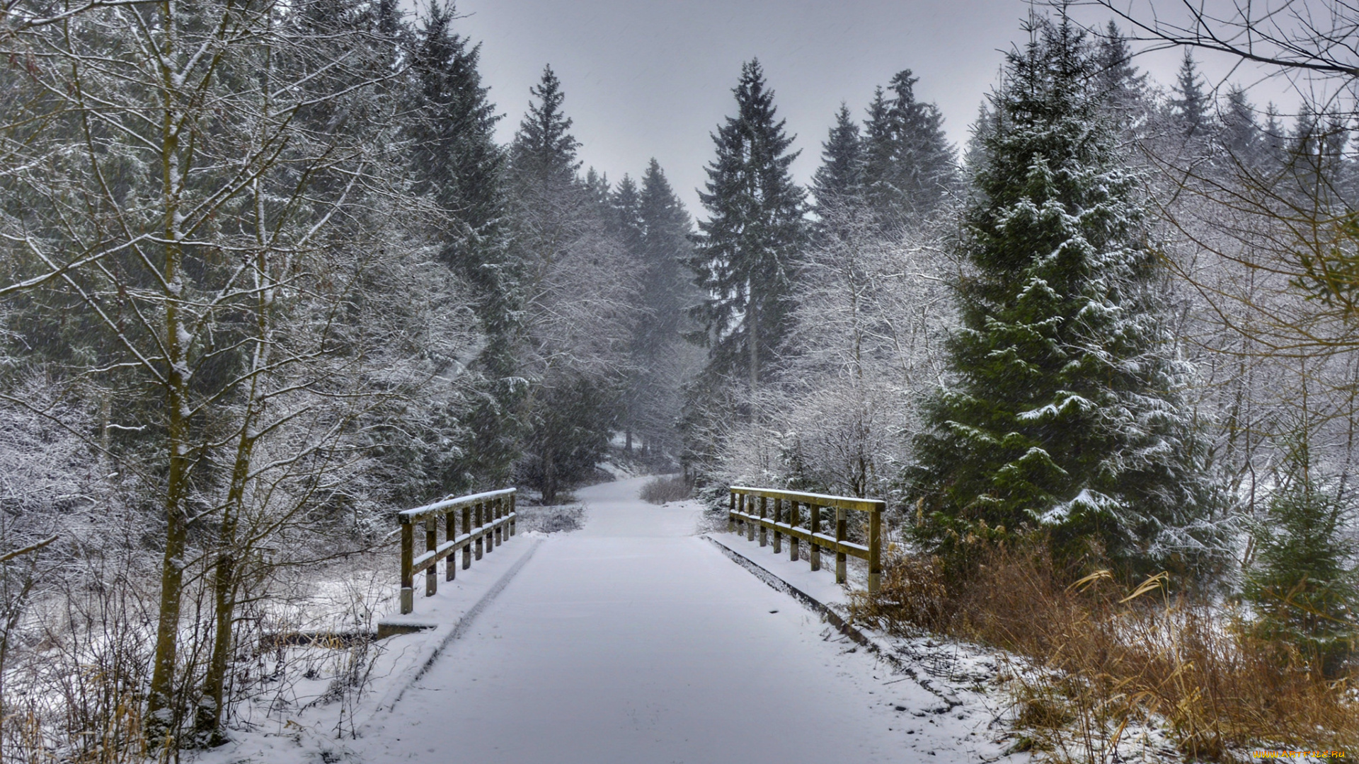 природа, зима, простор