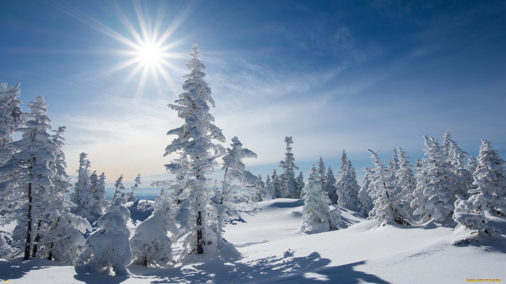 природа, зима, простор