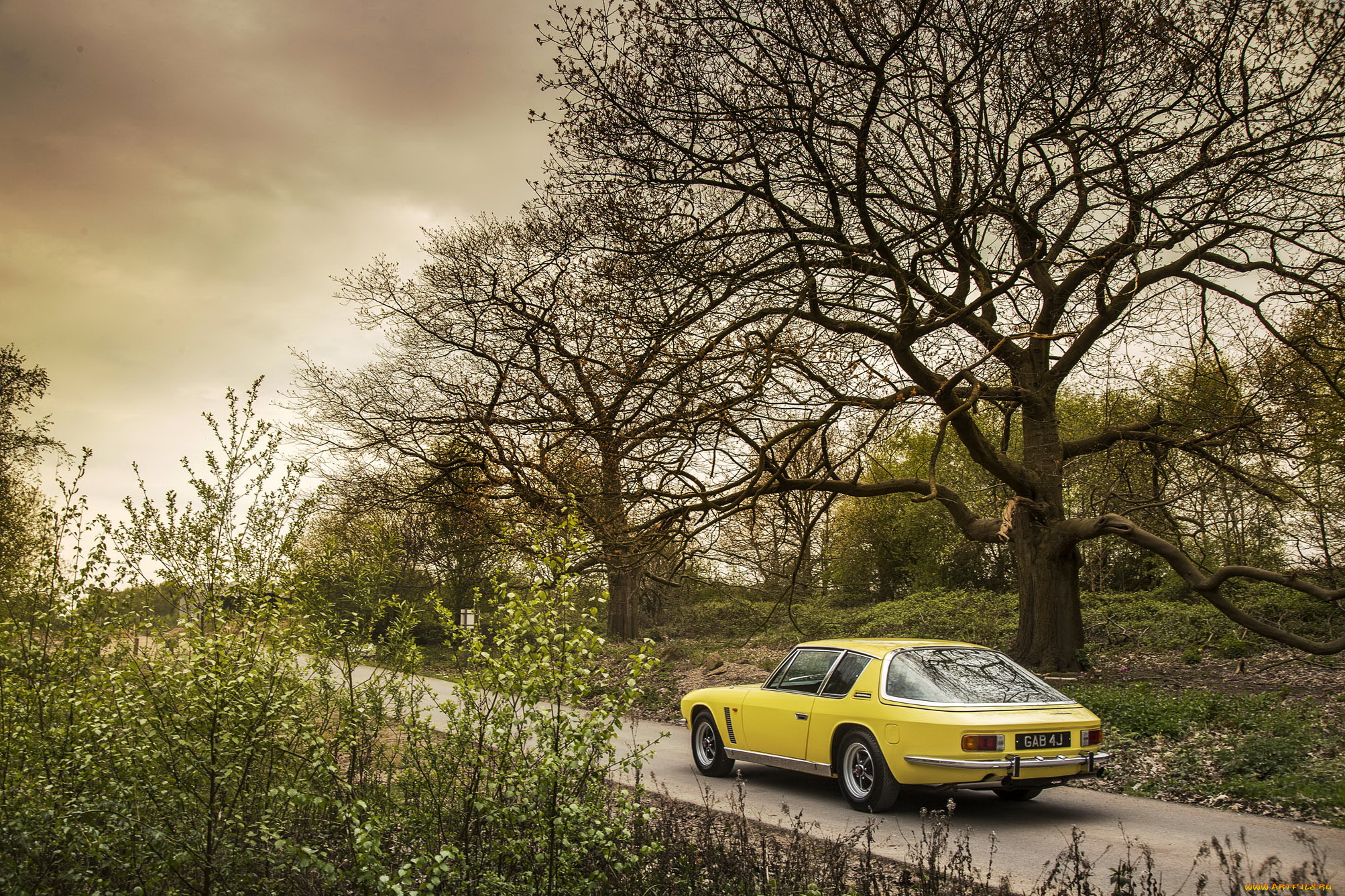 автомобили, jensen