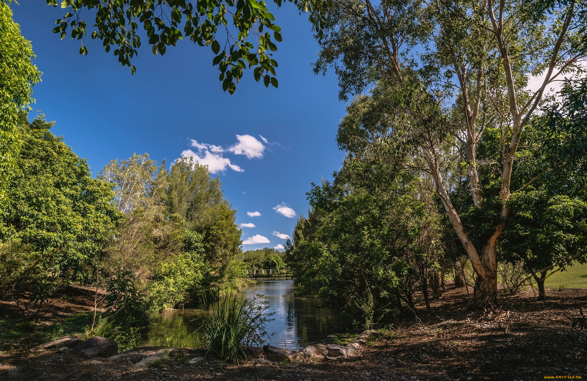 природа, реки, озера, простор