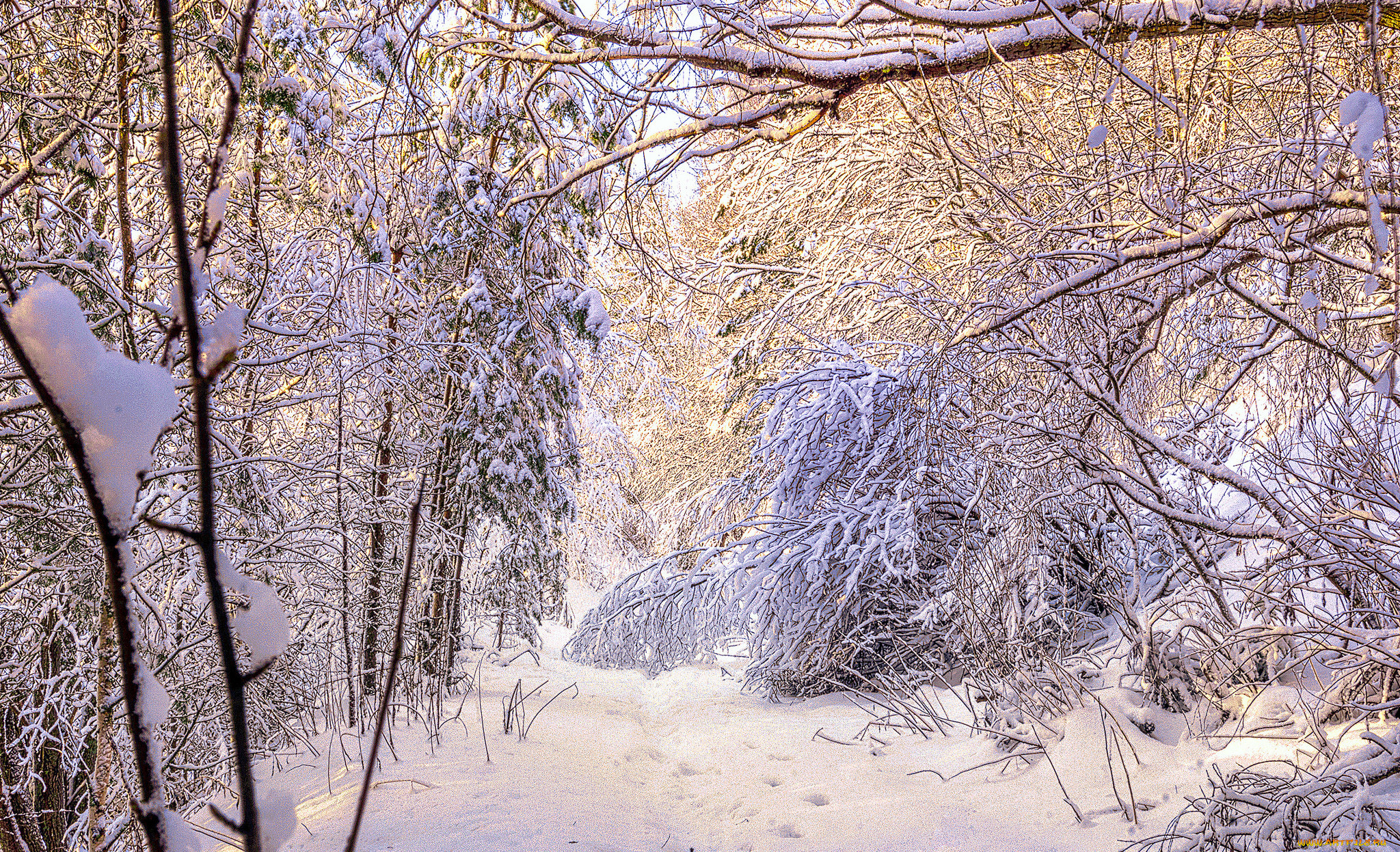 природа, зима, простор