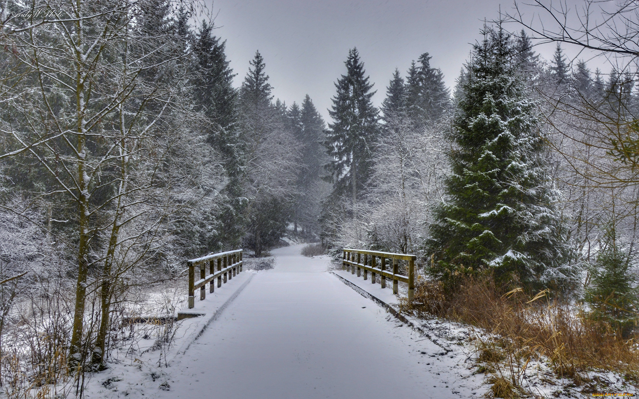 природа, зима, простор