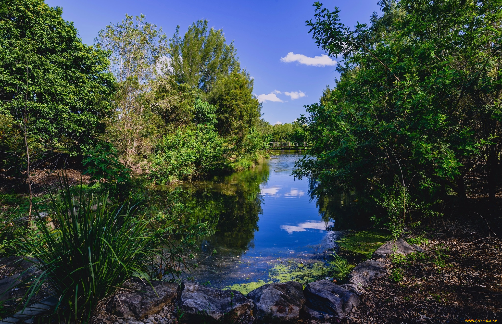 природа, реки, озера, простор