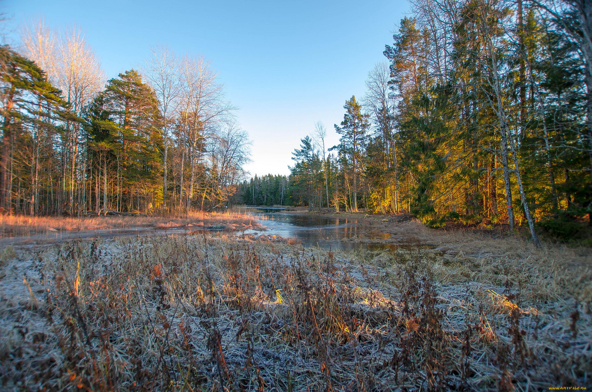 природа, реки, озера, простор