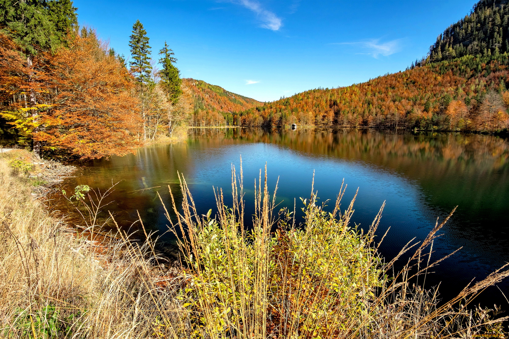 природа, реки, озера, простор