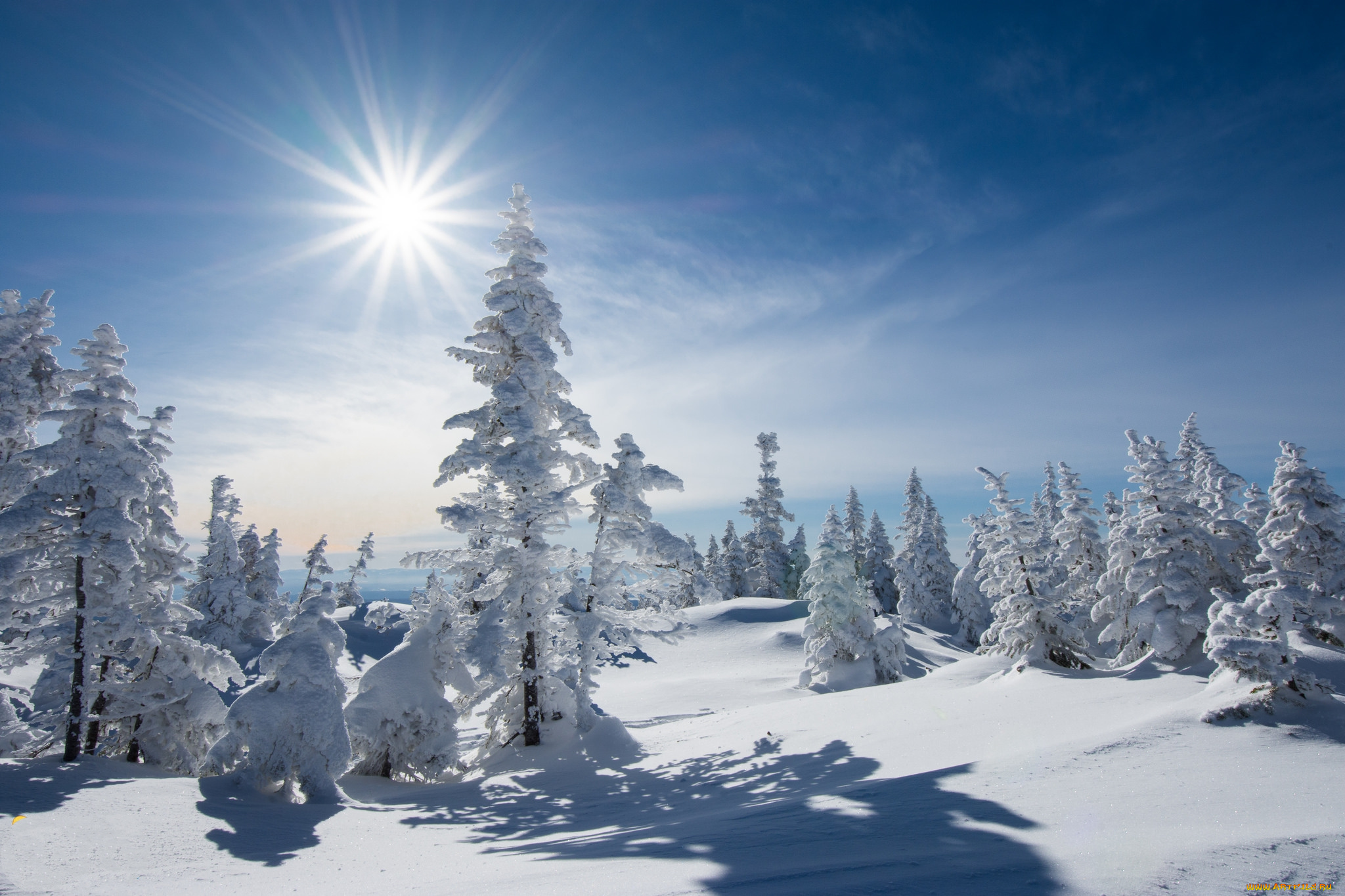 природа, зима, простор