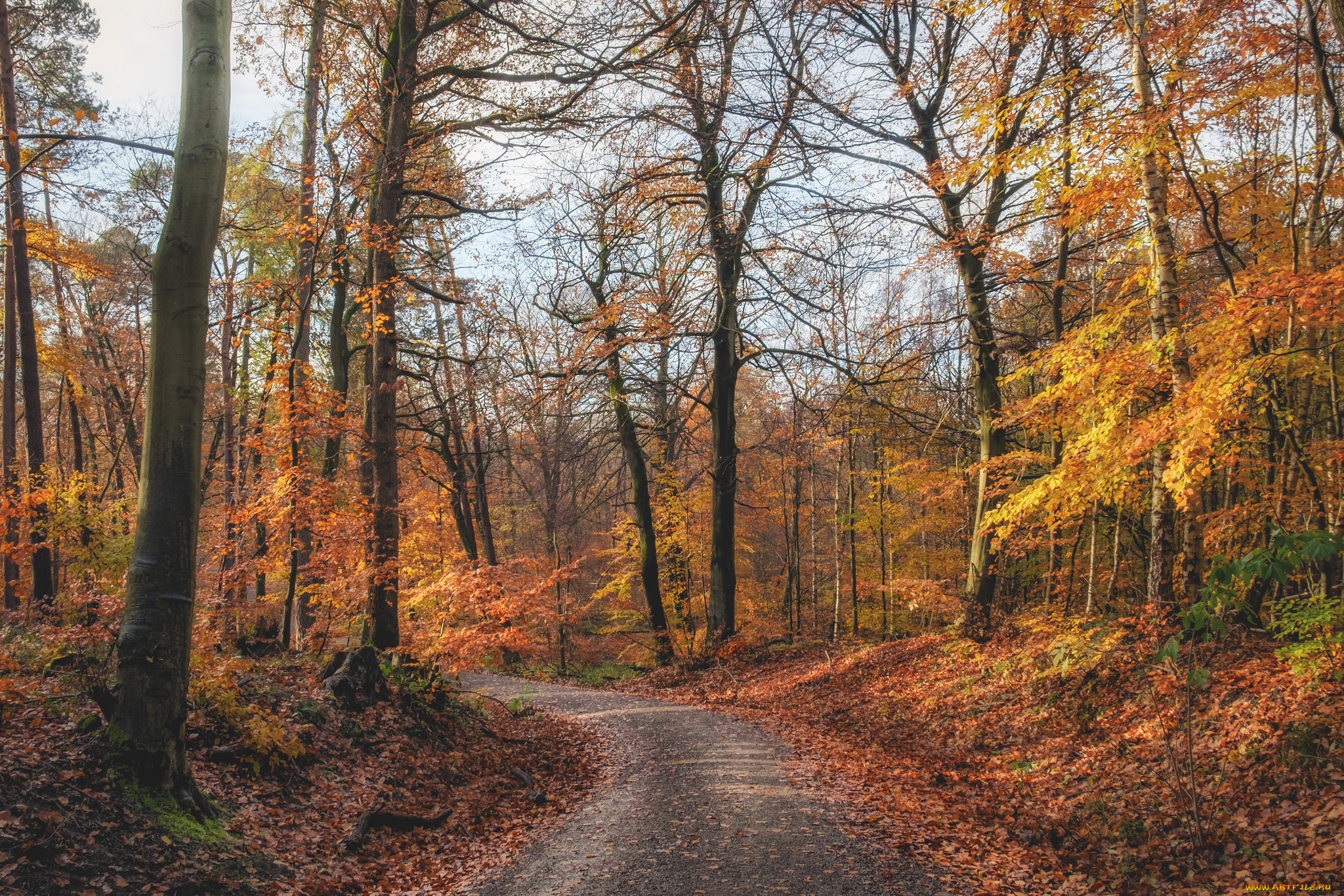 природа, дороги, простор