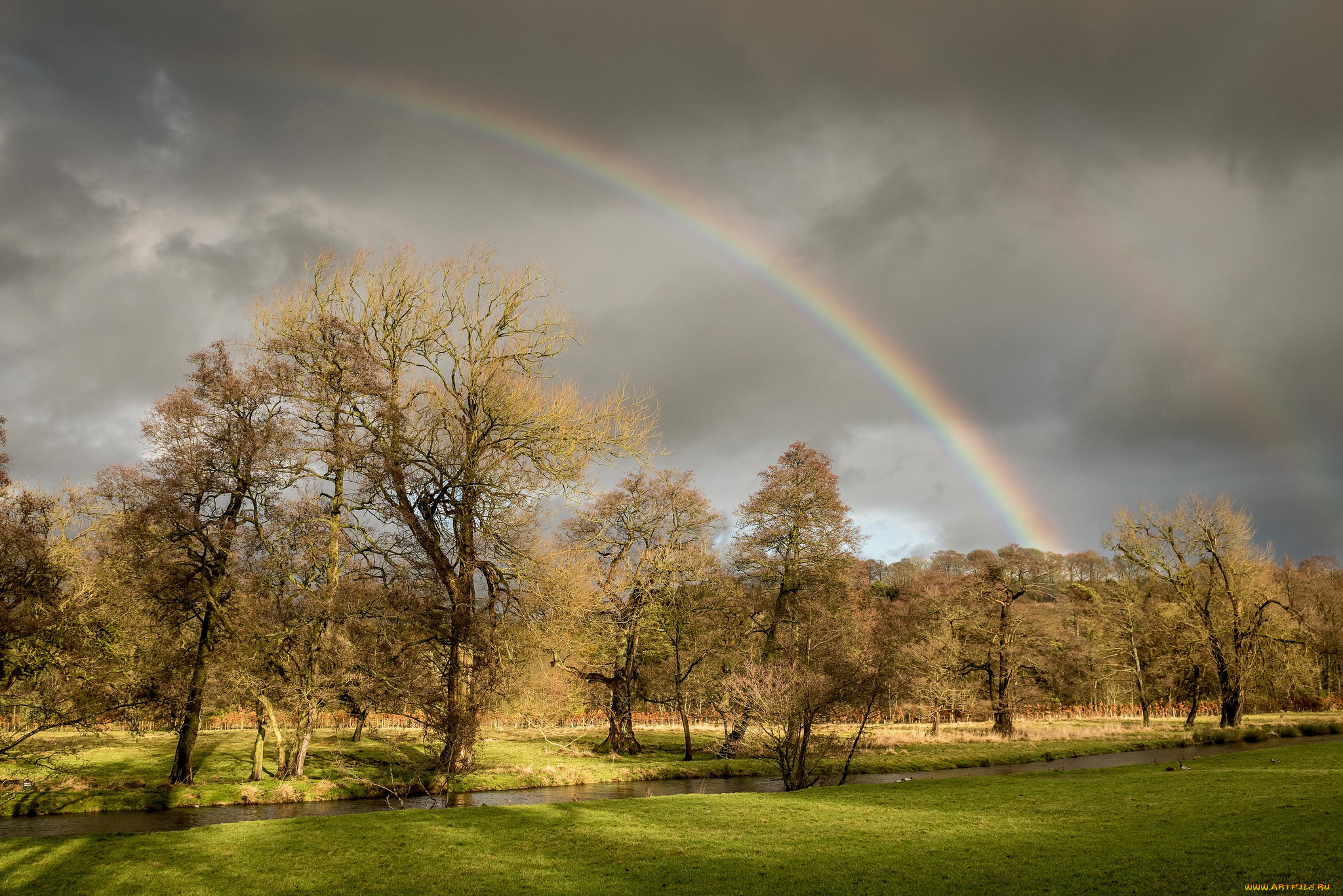 природа, радуга, простор