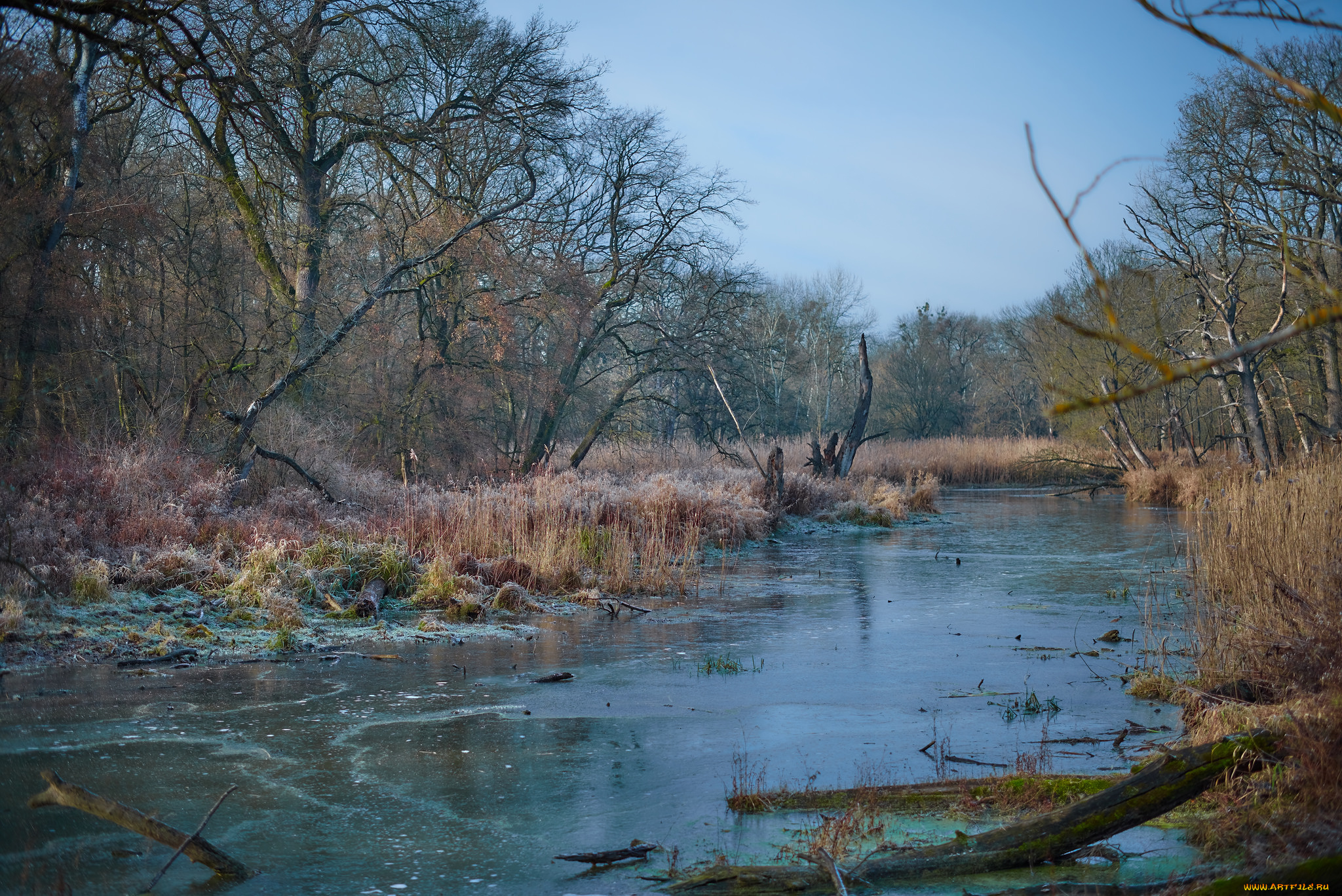 природа, реки, озера, простор