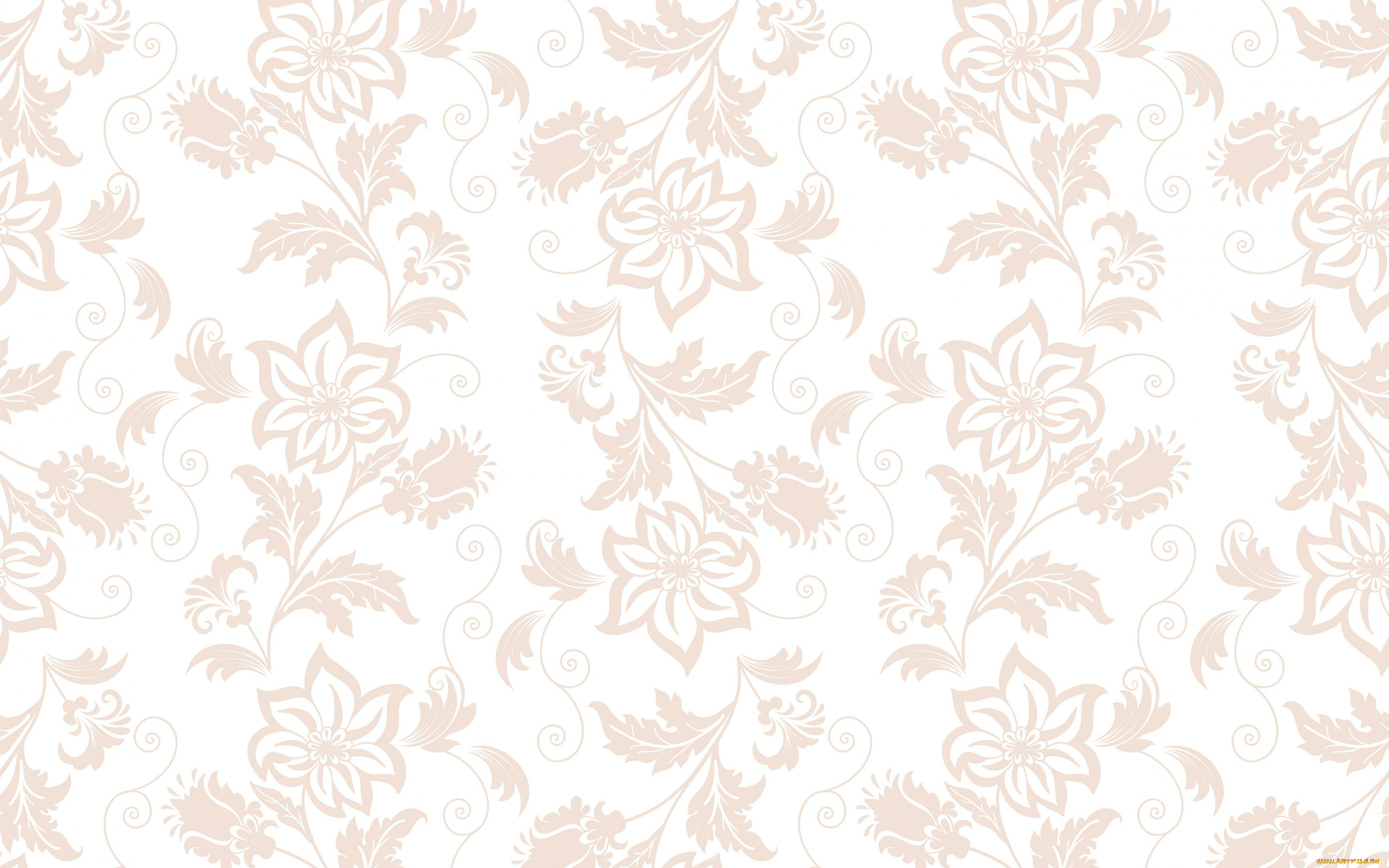 векторная, графика, цветы, , flowers, роспись, стиль, фон, узор, цветы