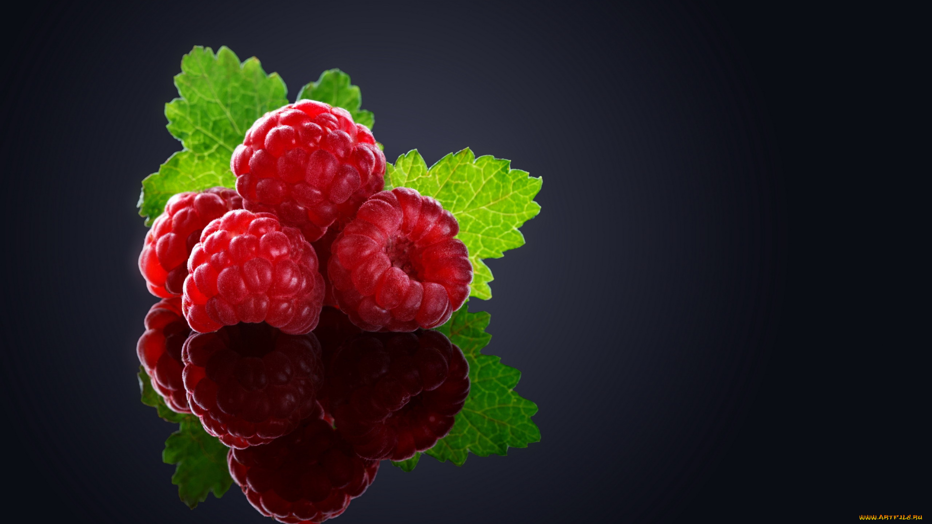 еда, малина, ягоды