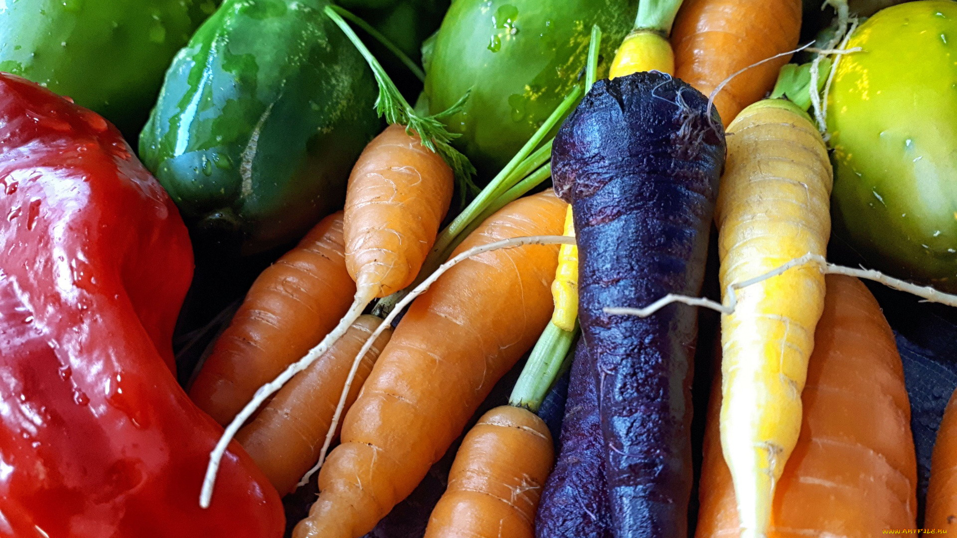 еда, овощи, морковь, перец