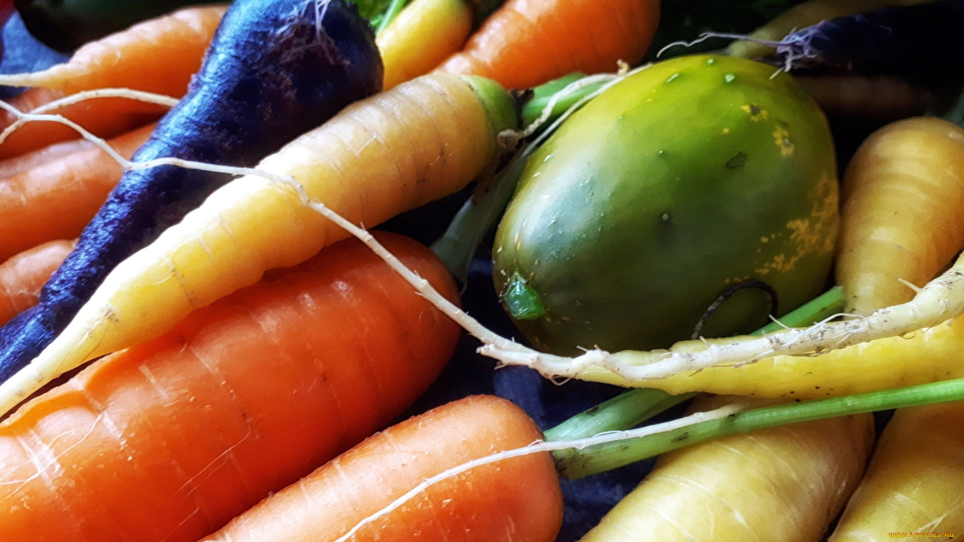 еда, овощи, огурец, морковь