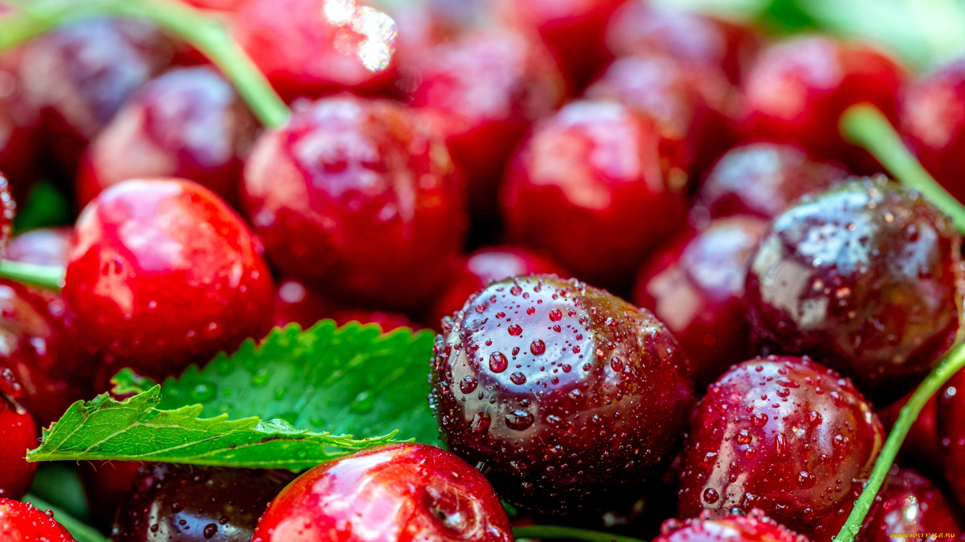 еда, вишня, , черешня, капли, вишни