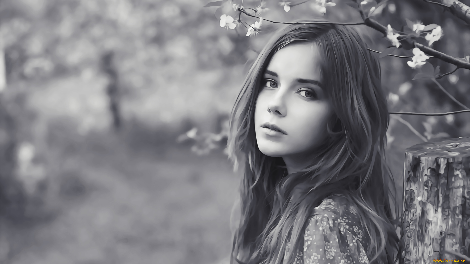 календари, компьютерный, дизайн, 2019, природа, цветы, взгляд, девушка, женщина, лицо, calendar