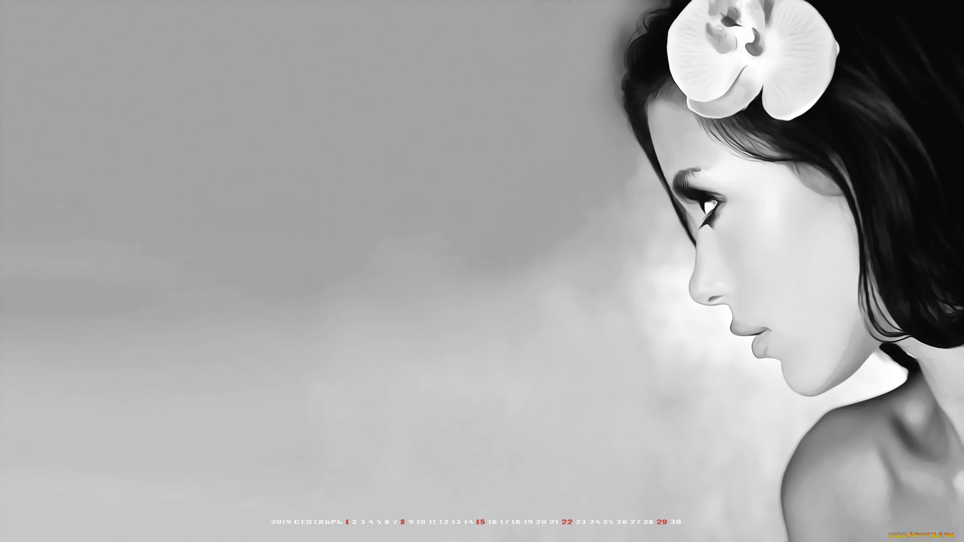 календари, компьютерный, дизайн, профиль, цветок, 2019, calendar, женщина, девушка, лицо