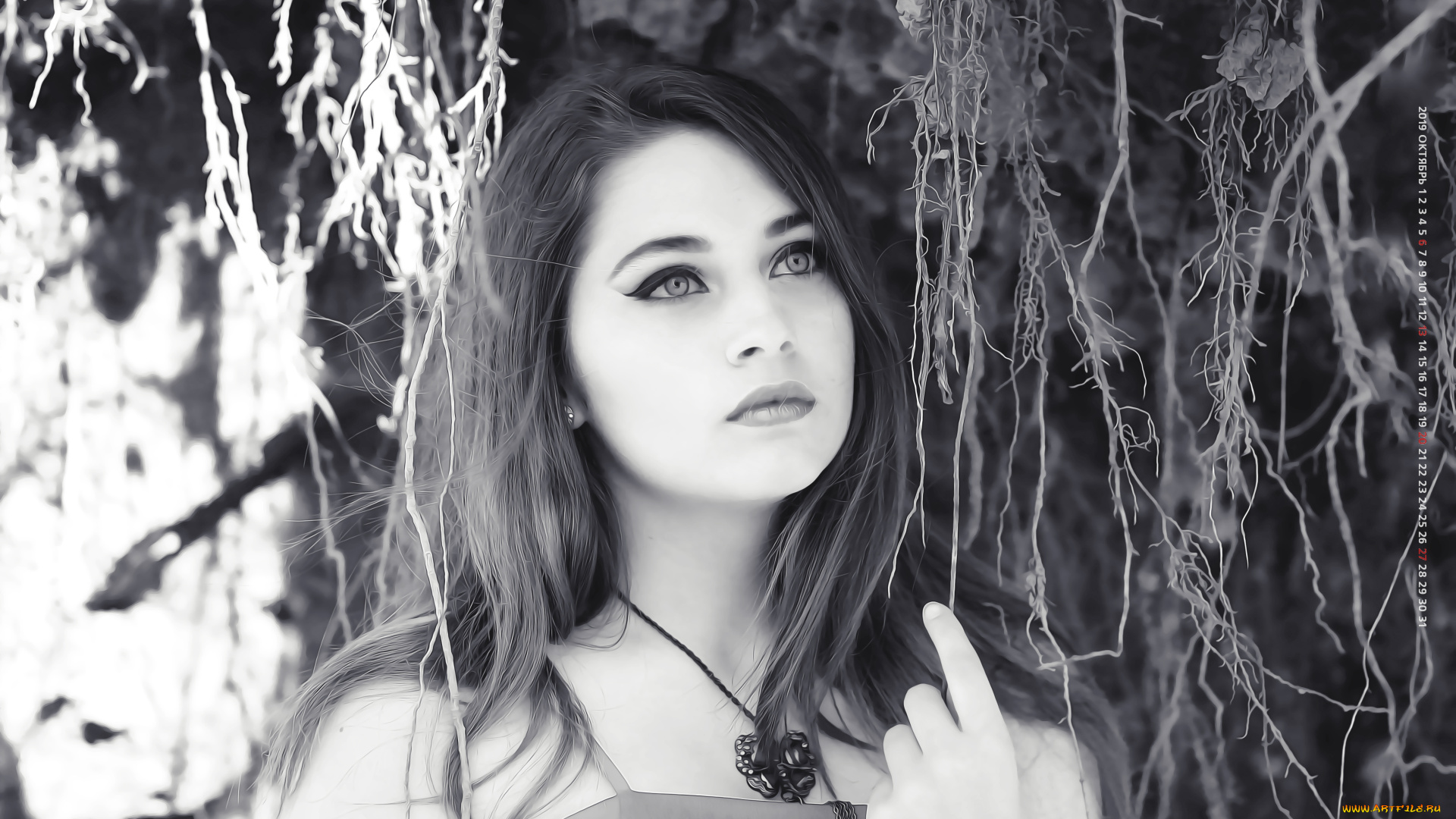 календари, компьютерный, дизайн, женщина, девушка, кулон, 2019, растение, calendar