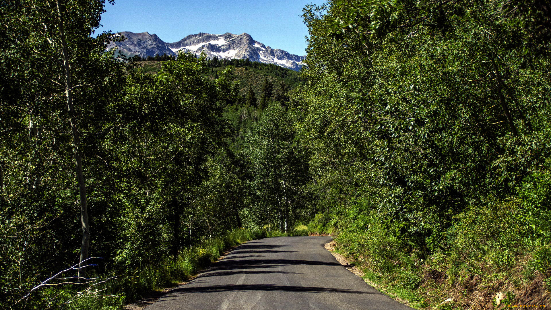 природа, дороги, деревья, дорога, горы