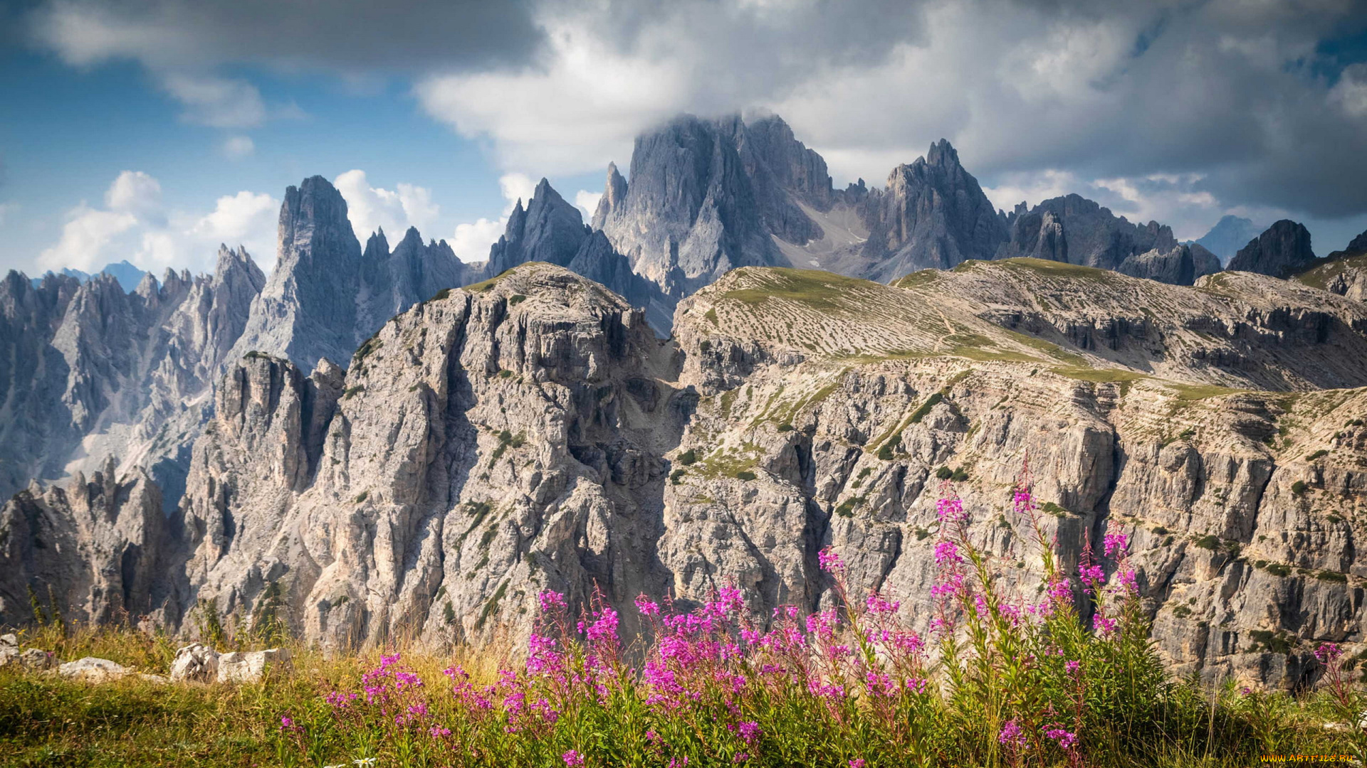 природа, горы, цветы, облака