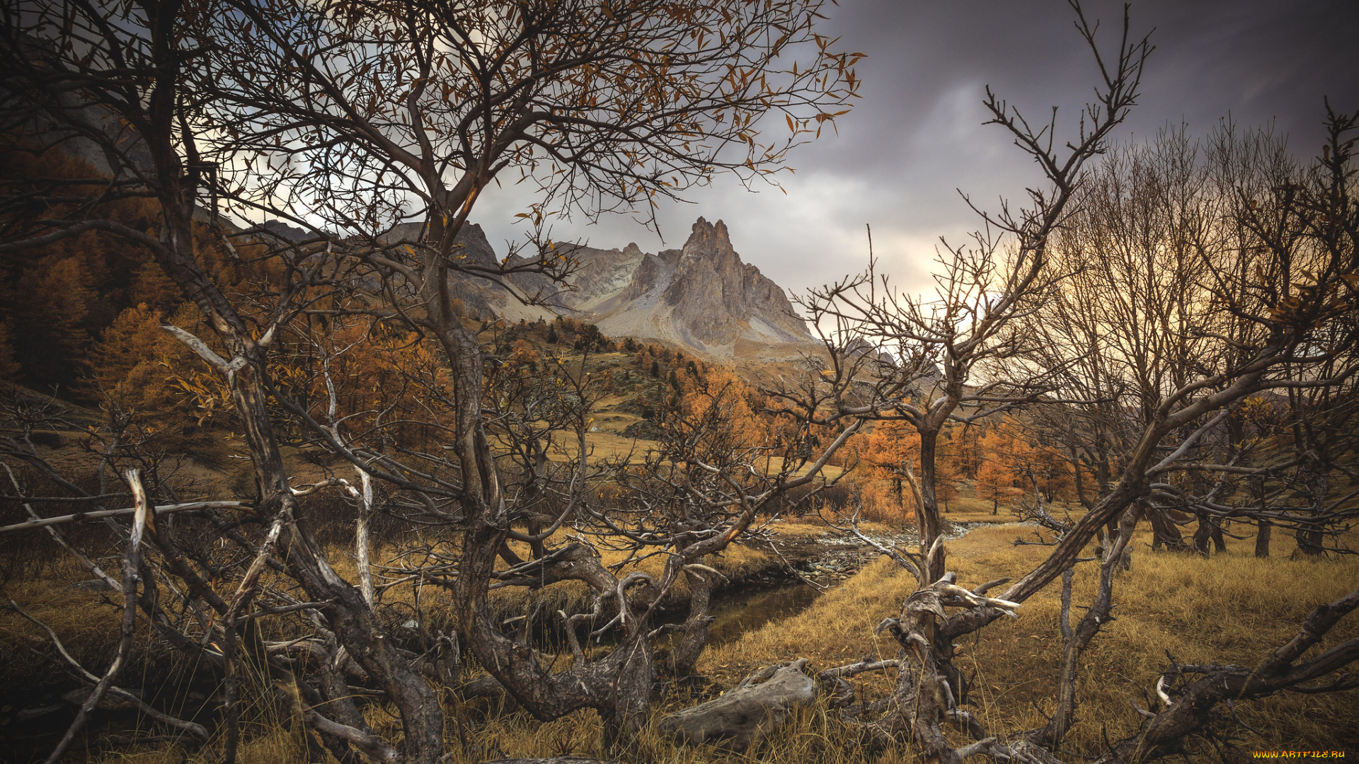 природа, пейзажи, простор