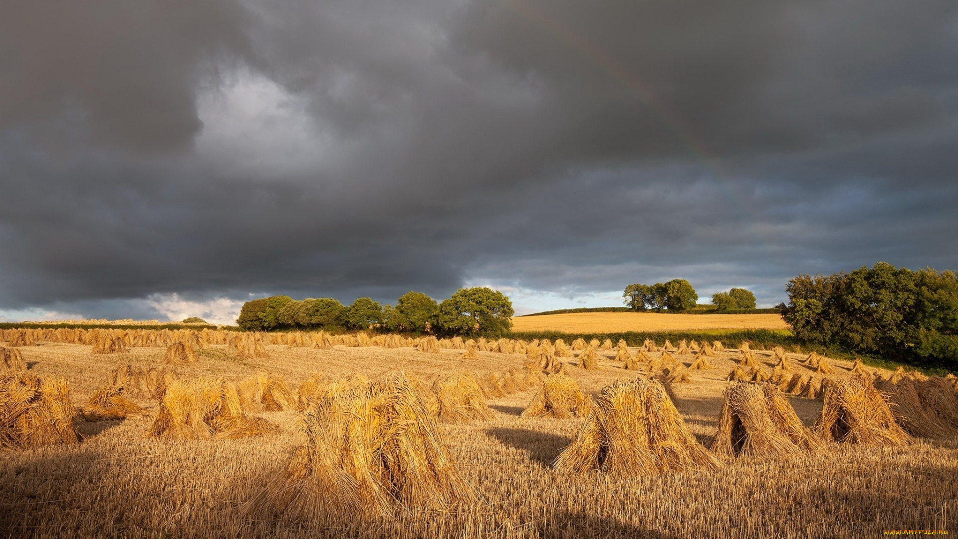природа, поля, стога