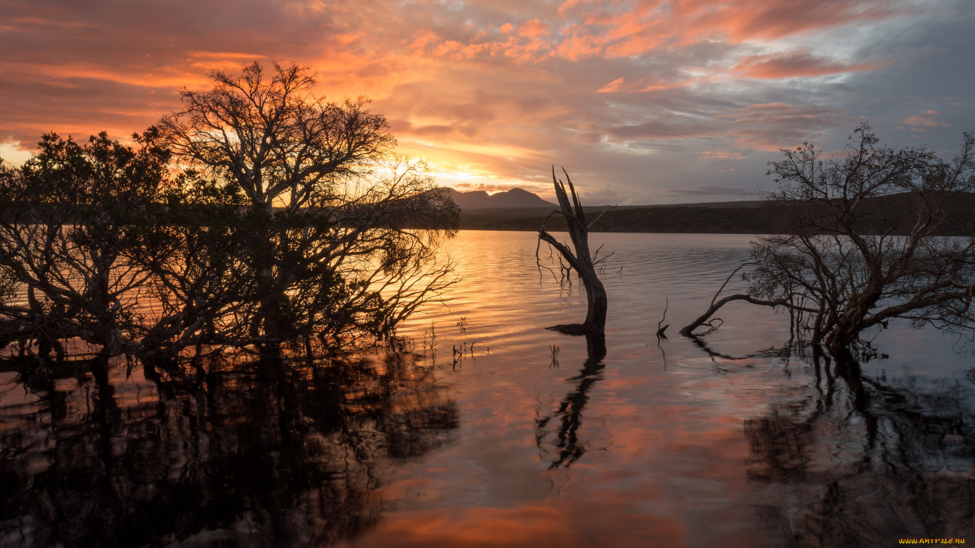 природа, реки, озера, простор