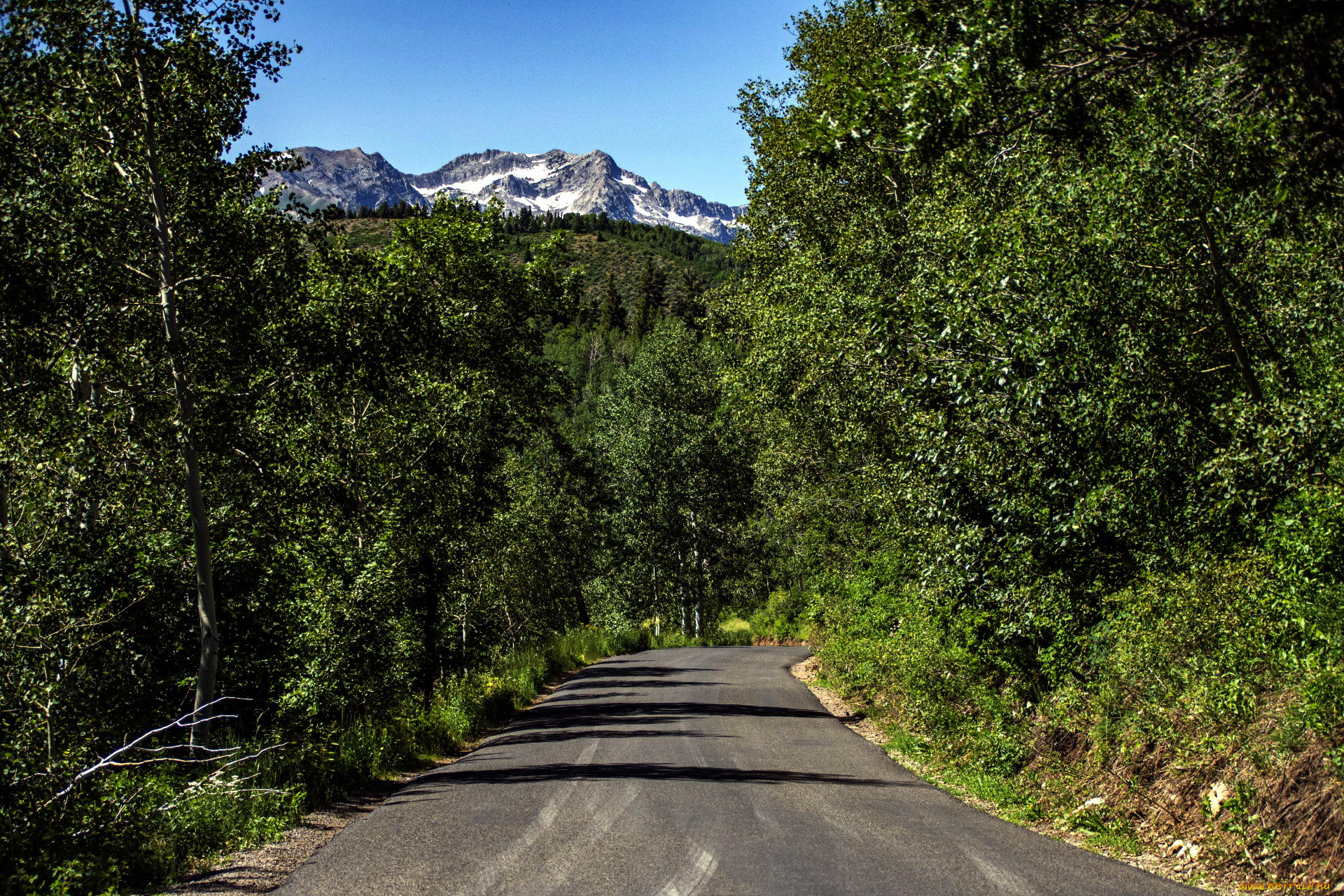 природа, дороги, деревья, дорога, горы