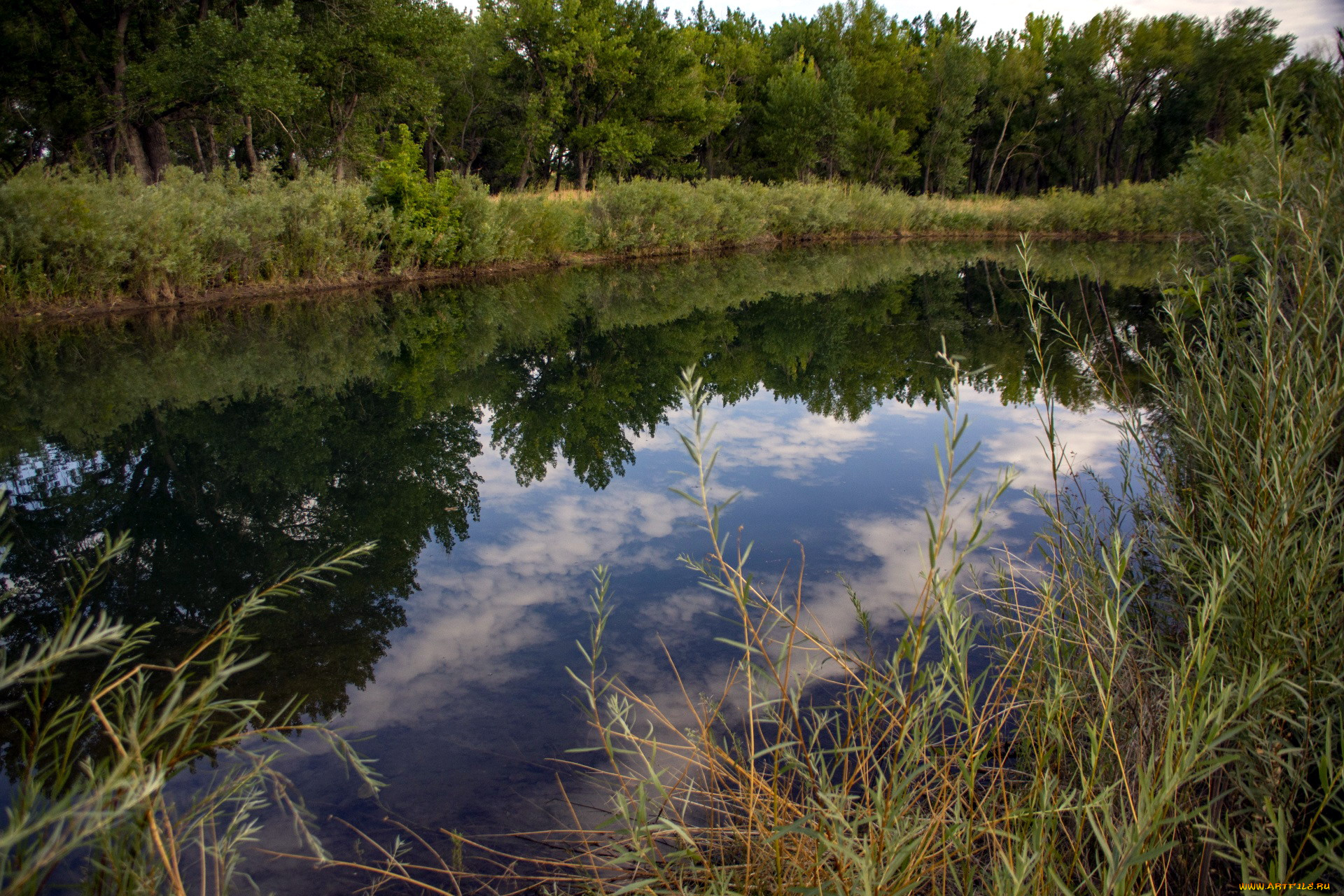 природа, реки, озера, пруд