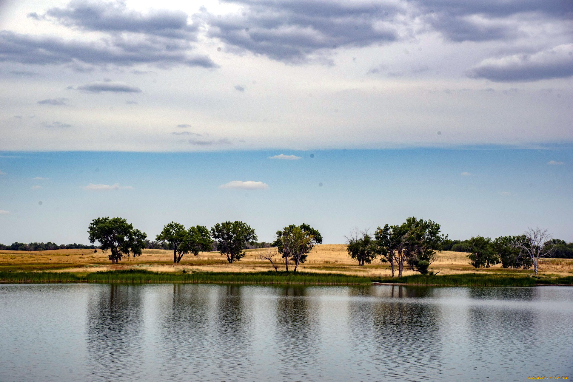 природа, реки, озера, деревья, река