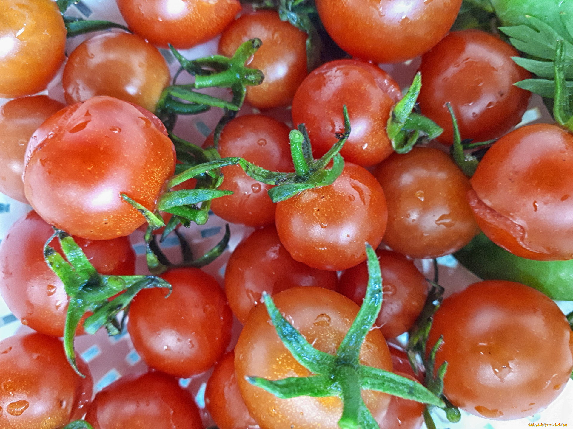 еда, помидоры, капли, томаты