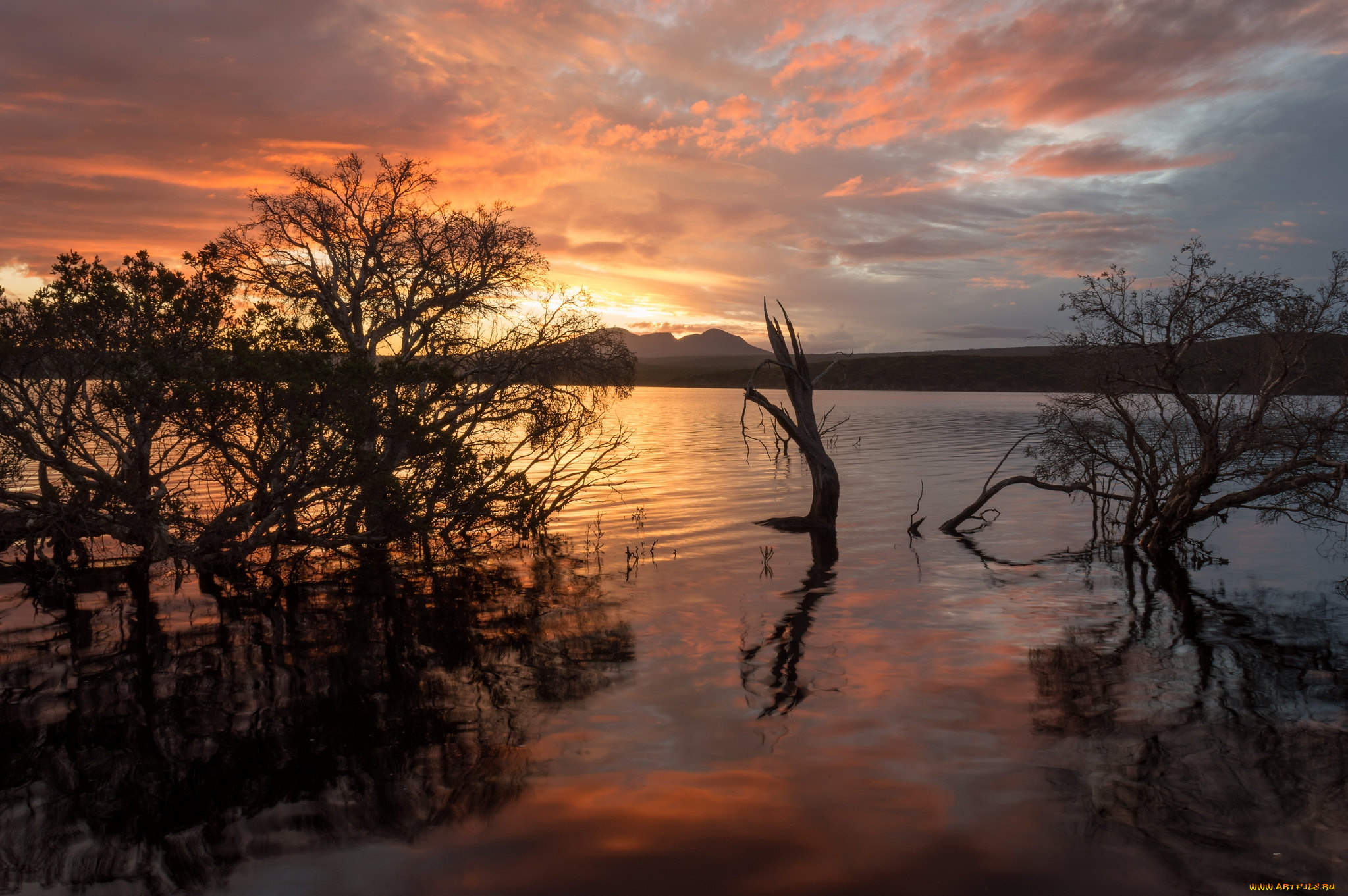 природа, реки, озера, простор