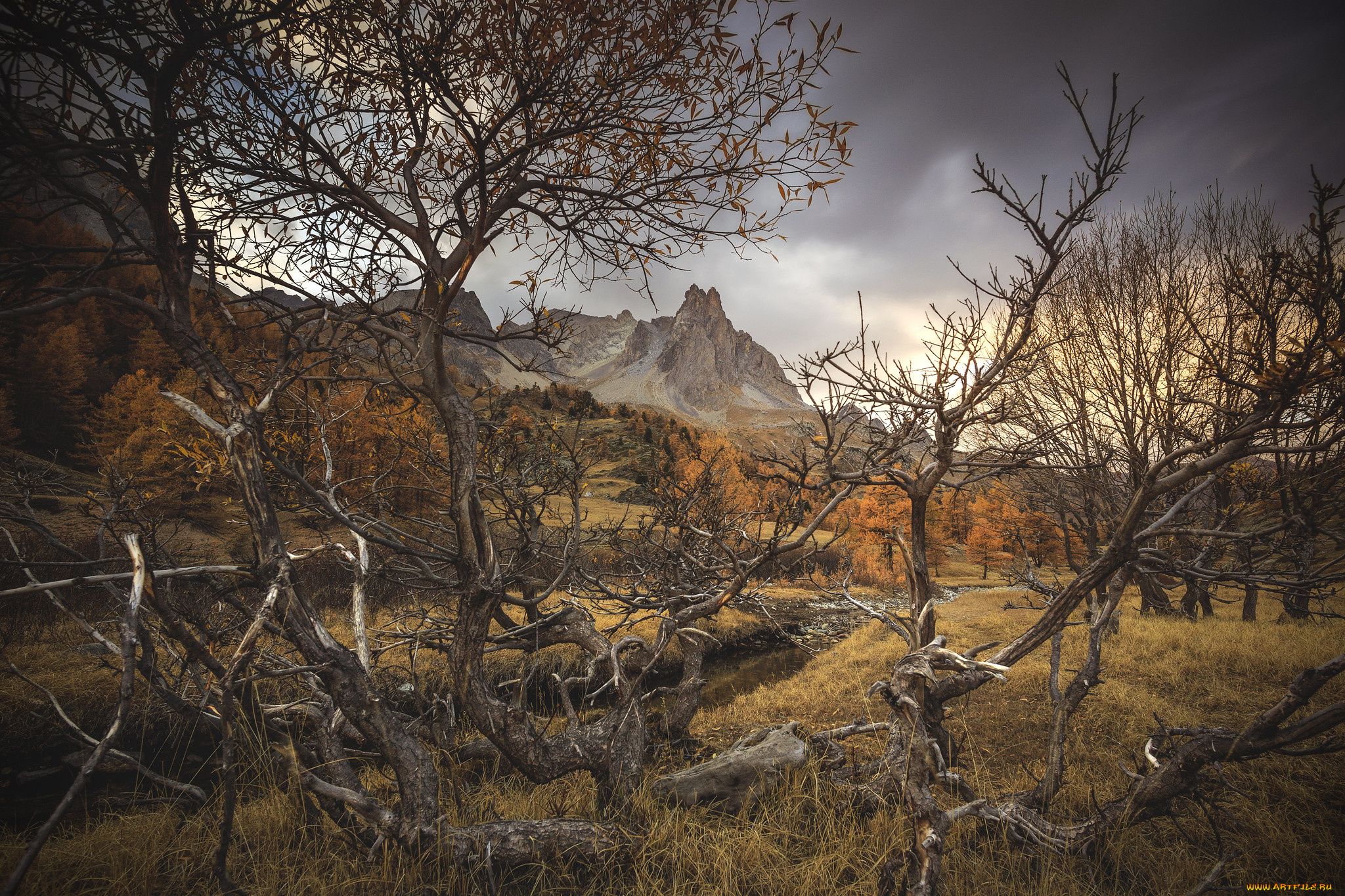 природа, пейзажи, простор