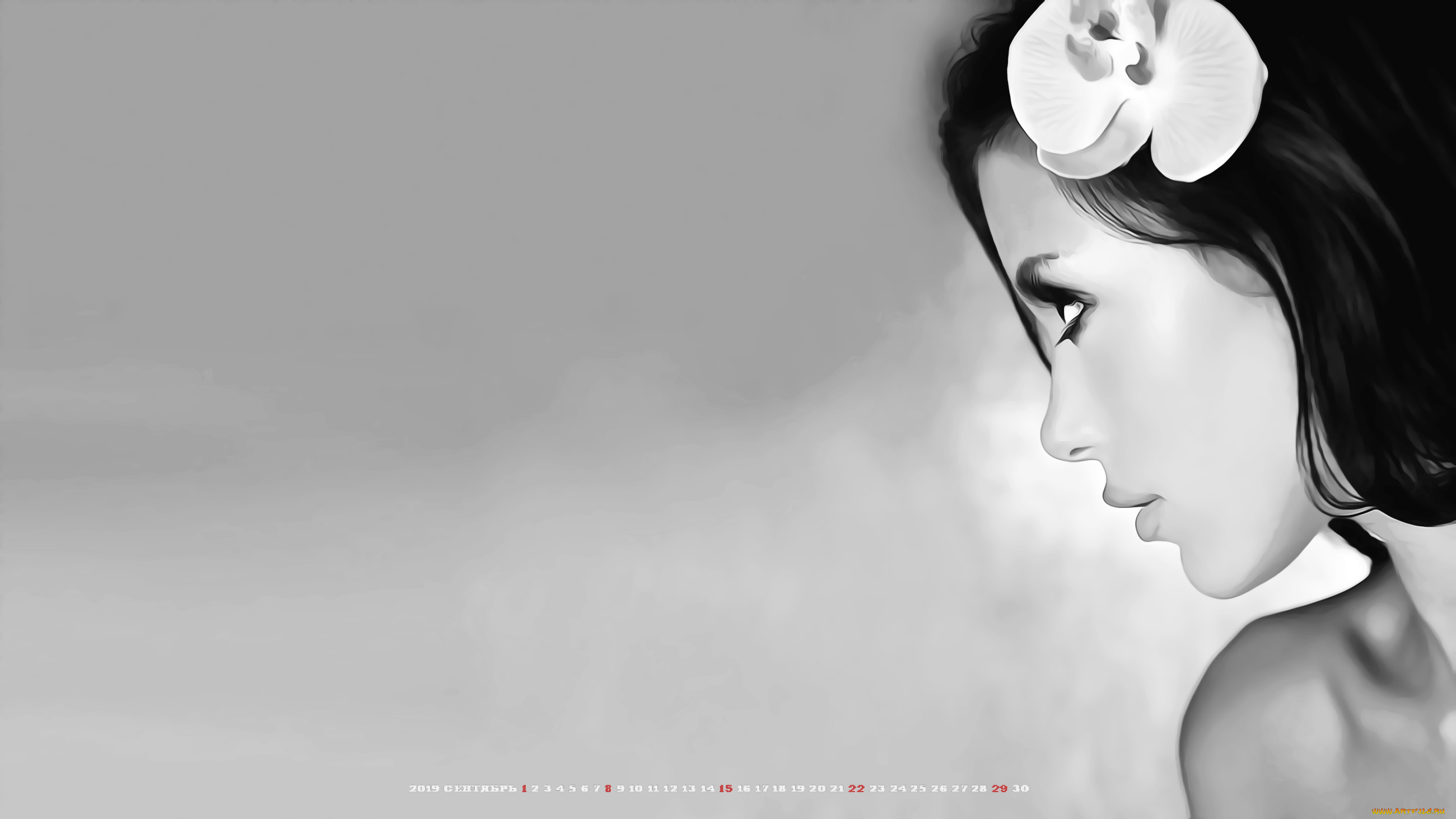 календари, компьютерный, дизайн, профиль, цветок, 2019, calendar, женщина, девушка, лицо