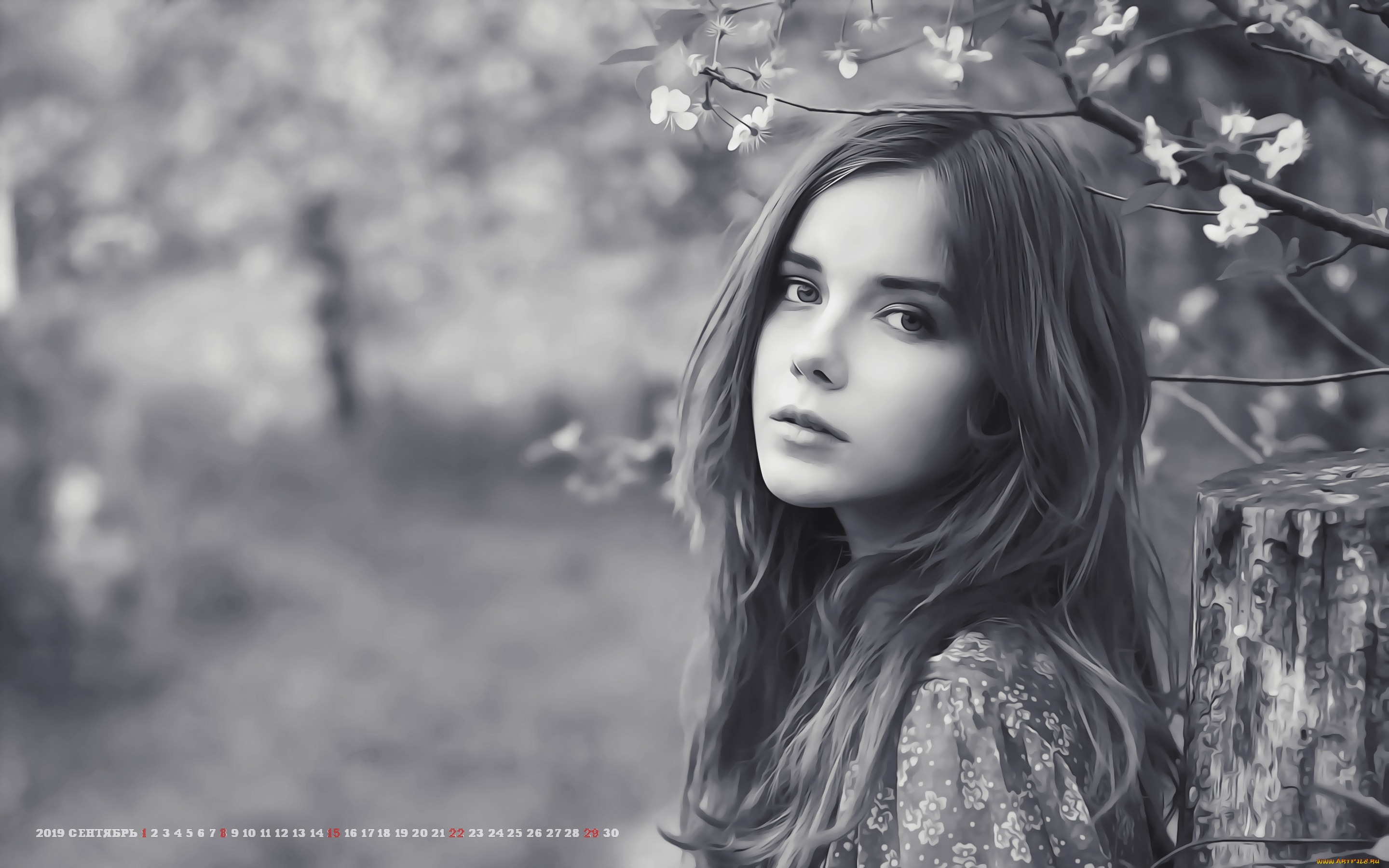 календари, компьютерный, дизайн, 2019, природа, цветы, взгляд, девушка, женщина, лицо, calendar