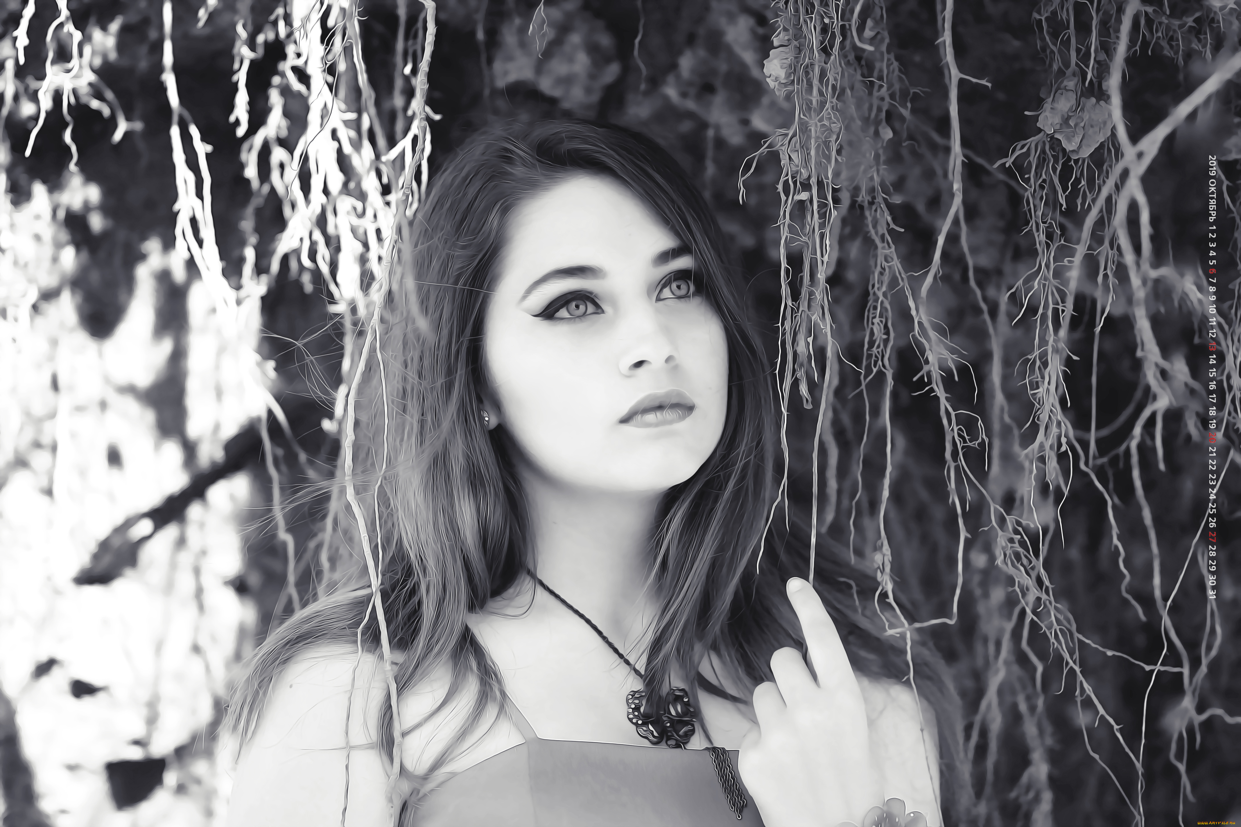 календари, компьютерный, дизайн, женщина, девушка, кулон, 2019, растение, calendar